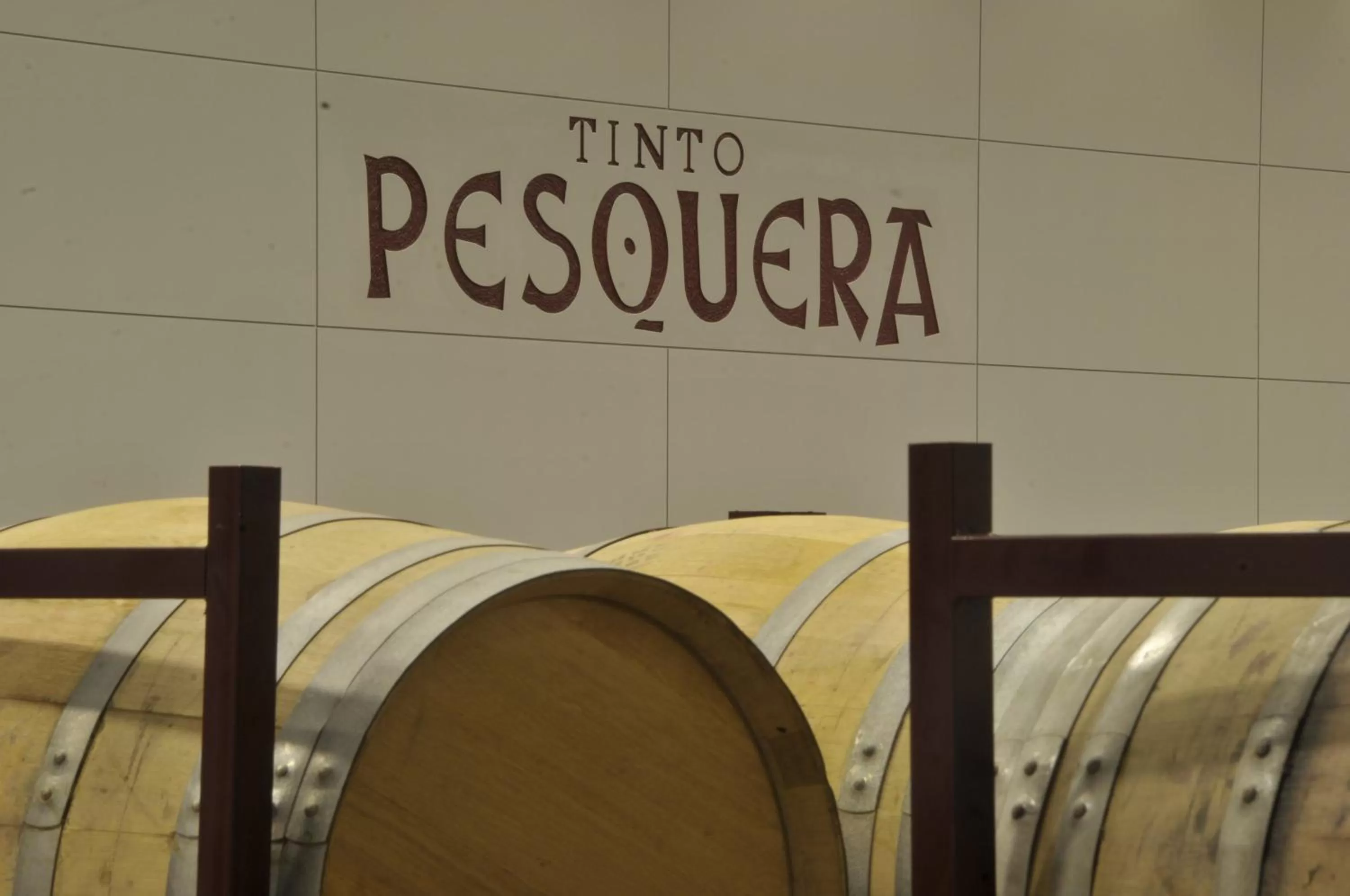 Nearby landmark in Hotel AF Pesquera