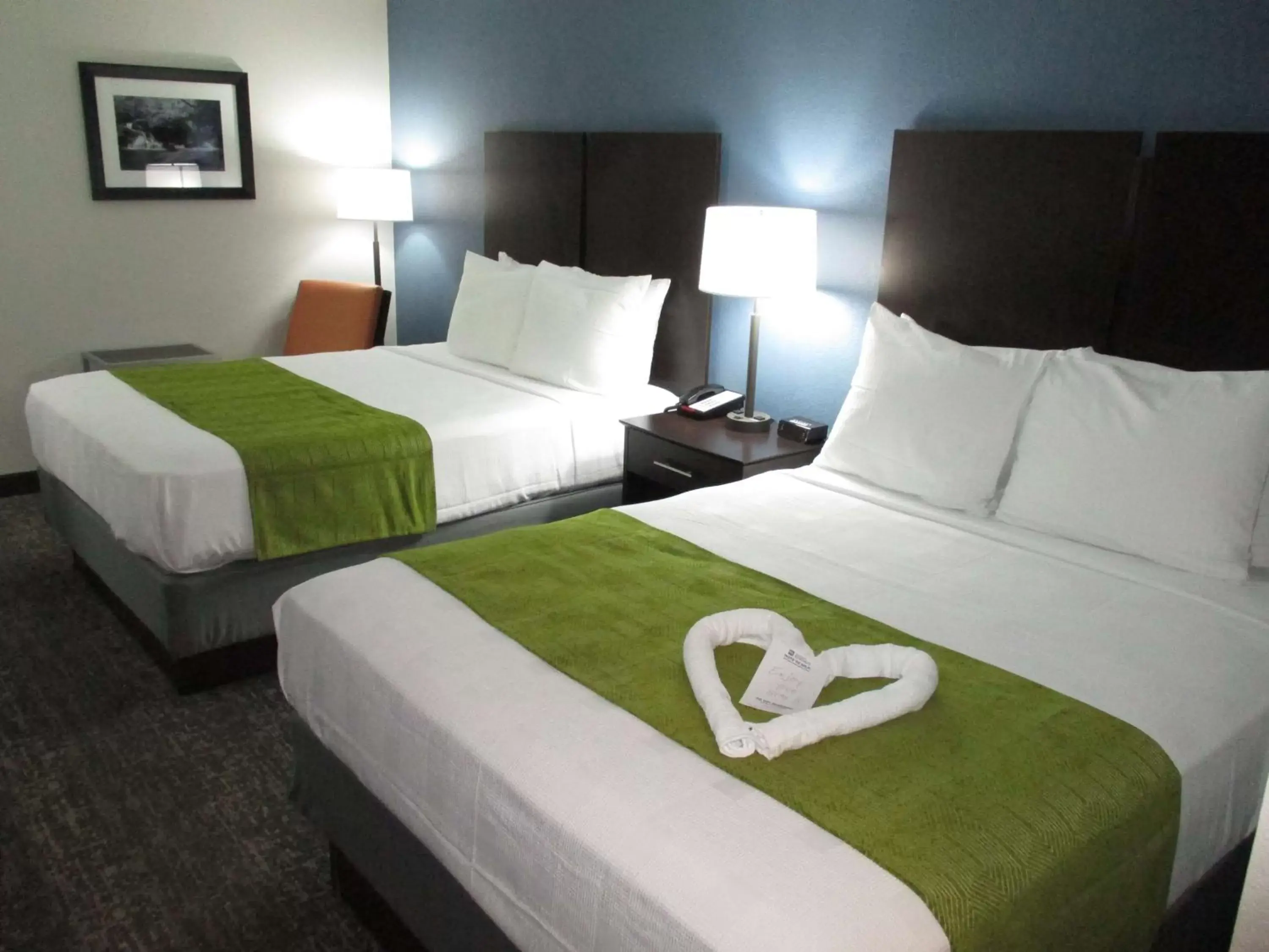 Photo of the whole room, Bed in Best Western Rock Hill