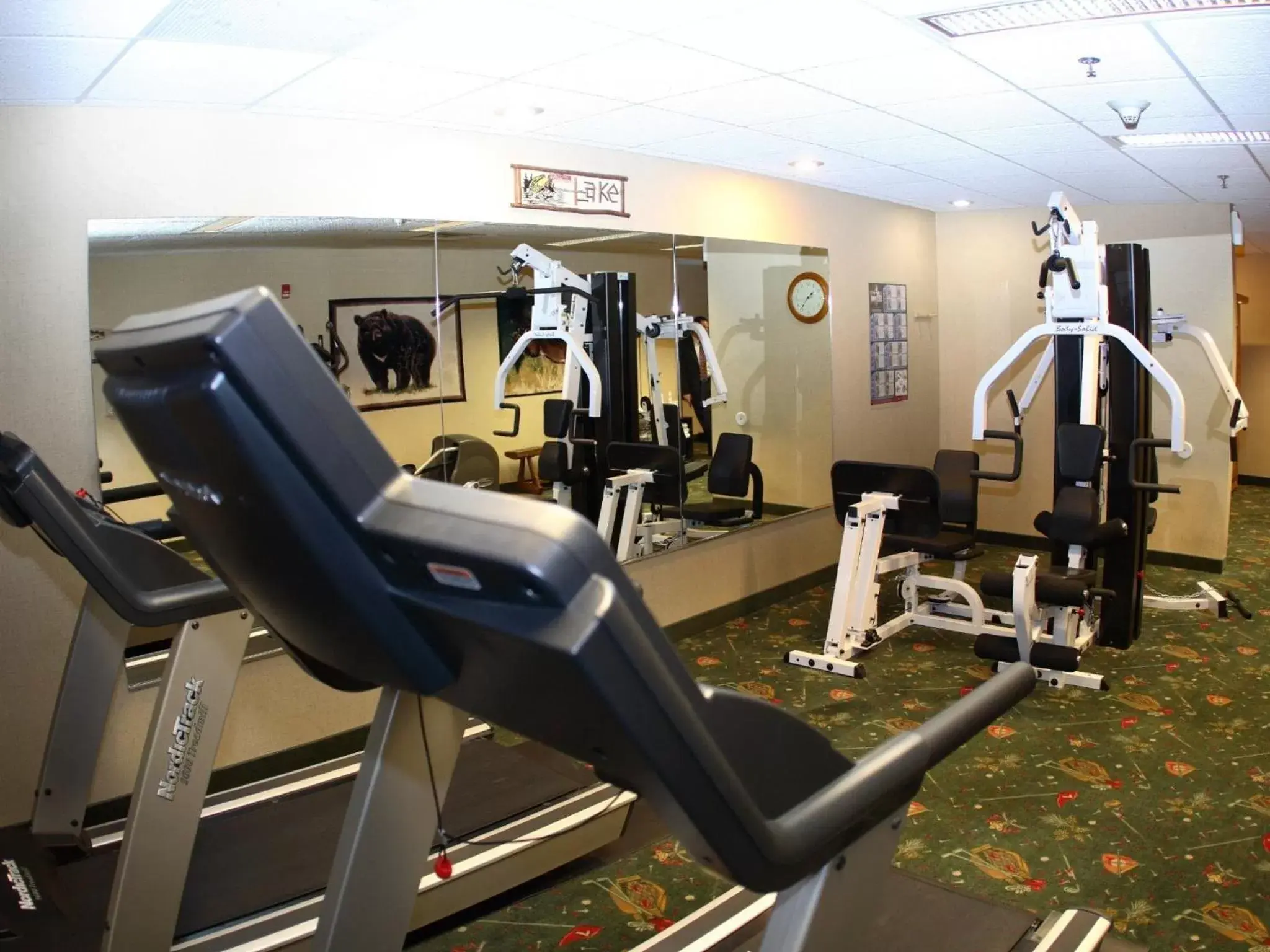 Fitness centre/facilities, Fitness Center/Facilities in Stoney Creek Hotel La Crosse - Onalaska