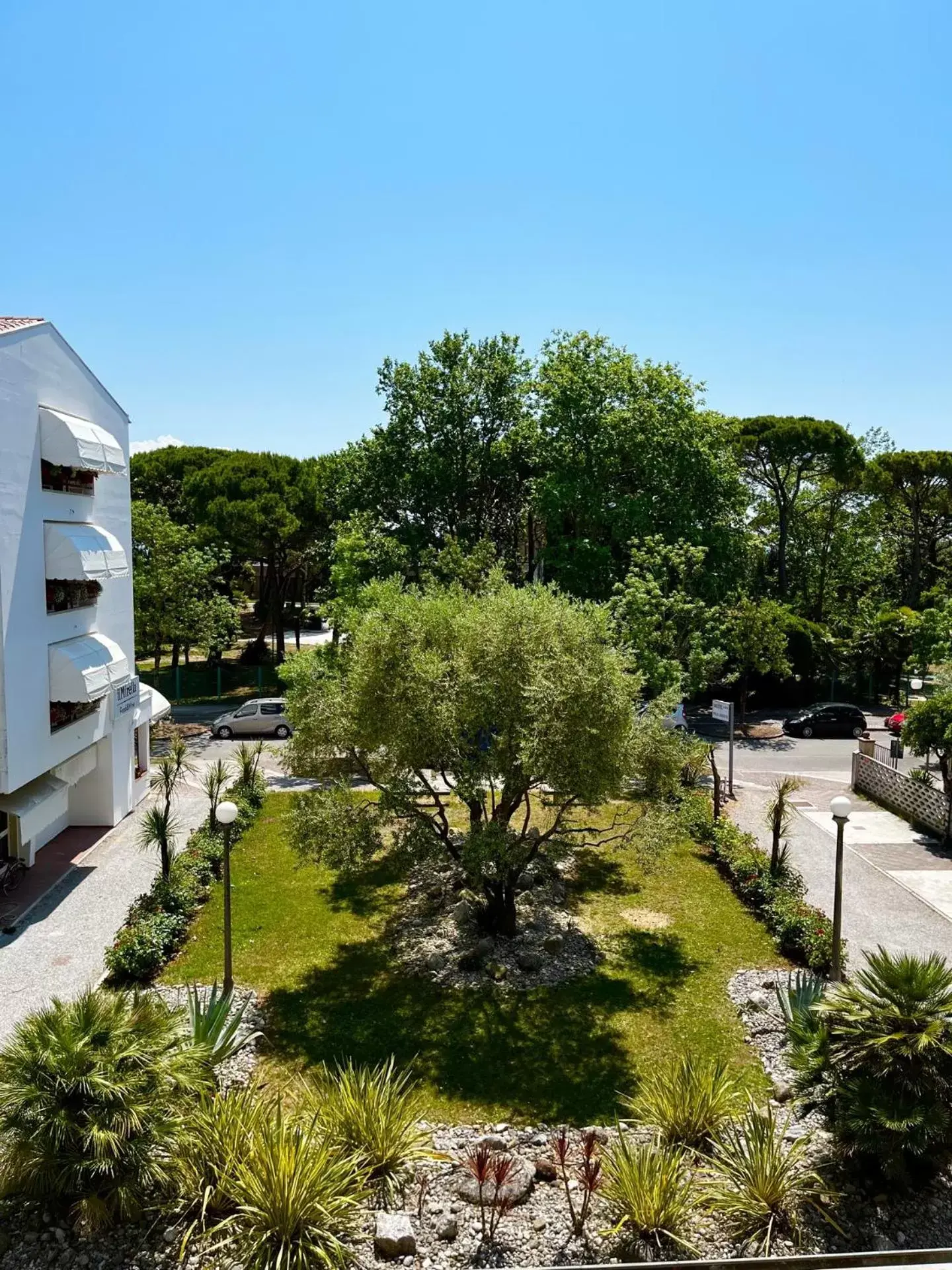 Garden view in Hotel Villa Augusta