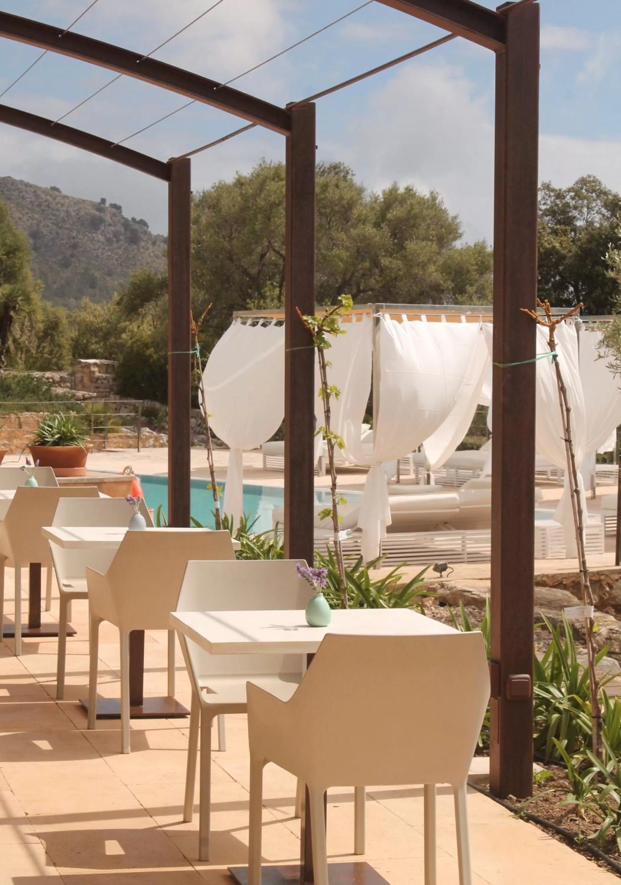 Food and drinks in Cases de Son Barbassa Hotel & Restaurant