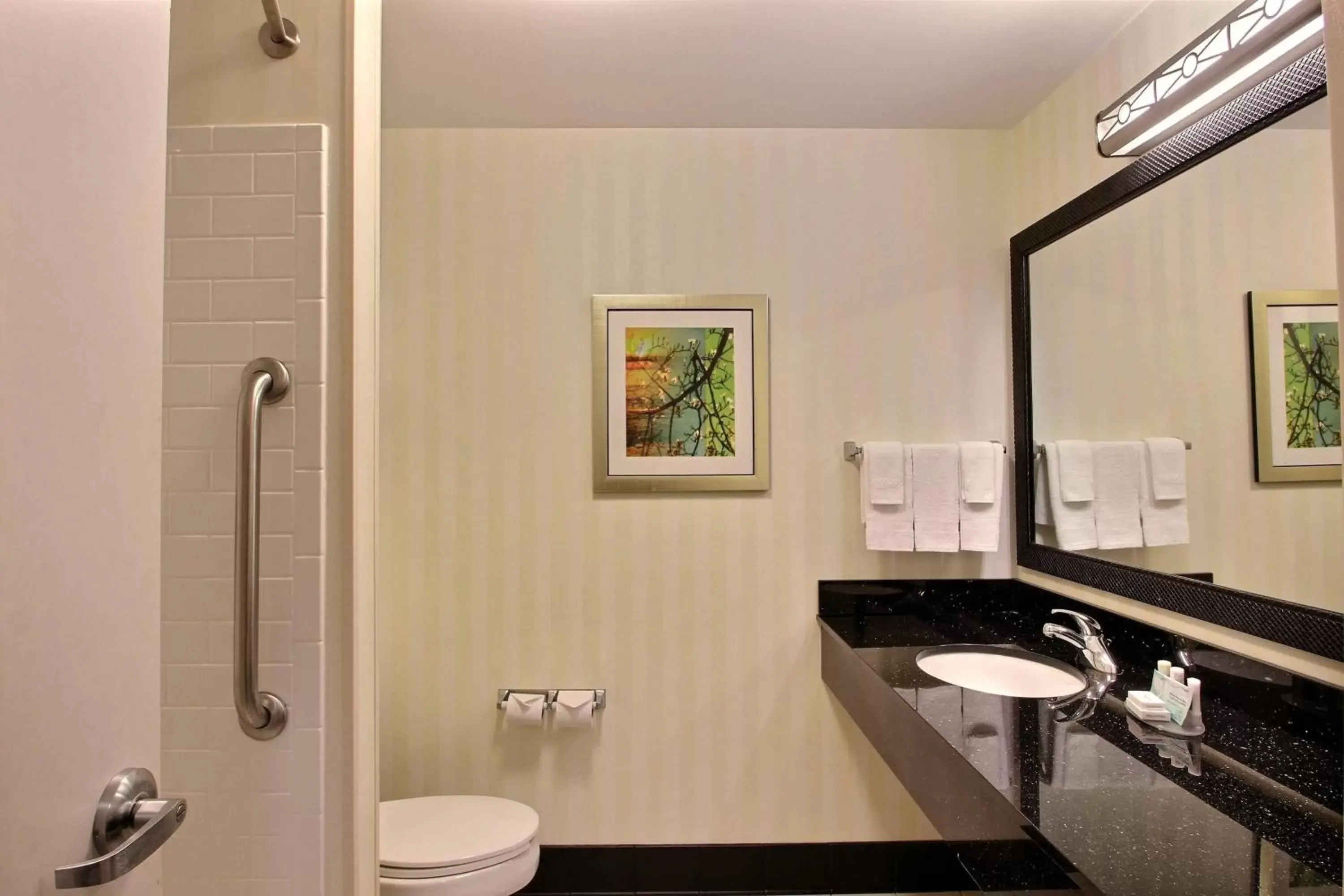 Bathroom in Fairfield Inn & Suites by Marriott Milwaukee Airport