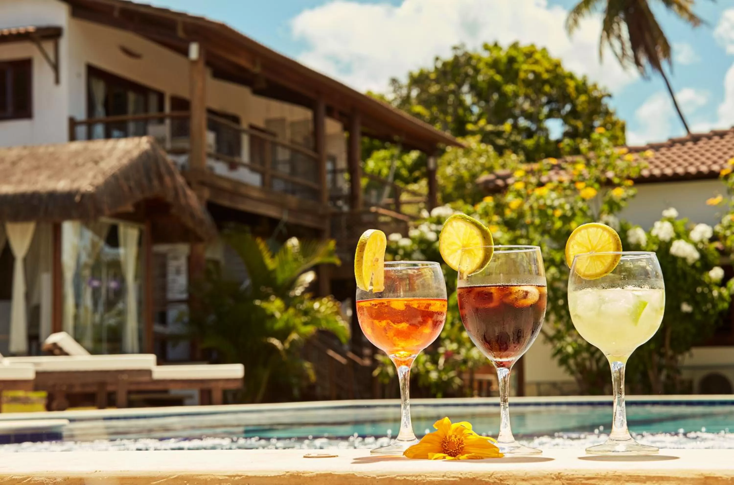 Drinks in Vila Emanuelle Pousada Boutique