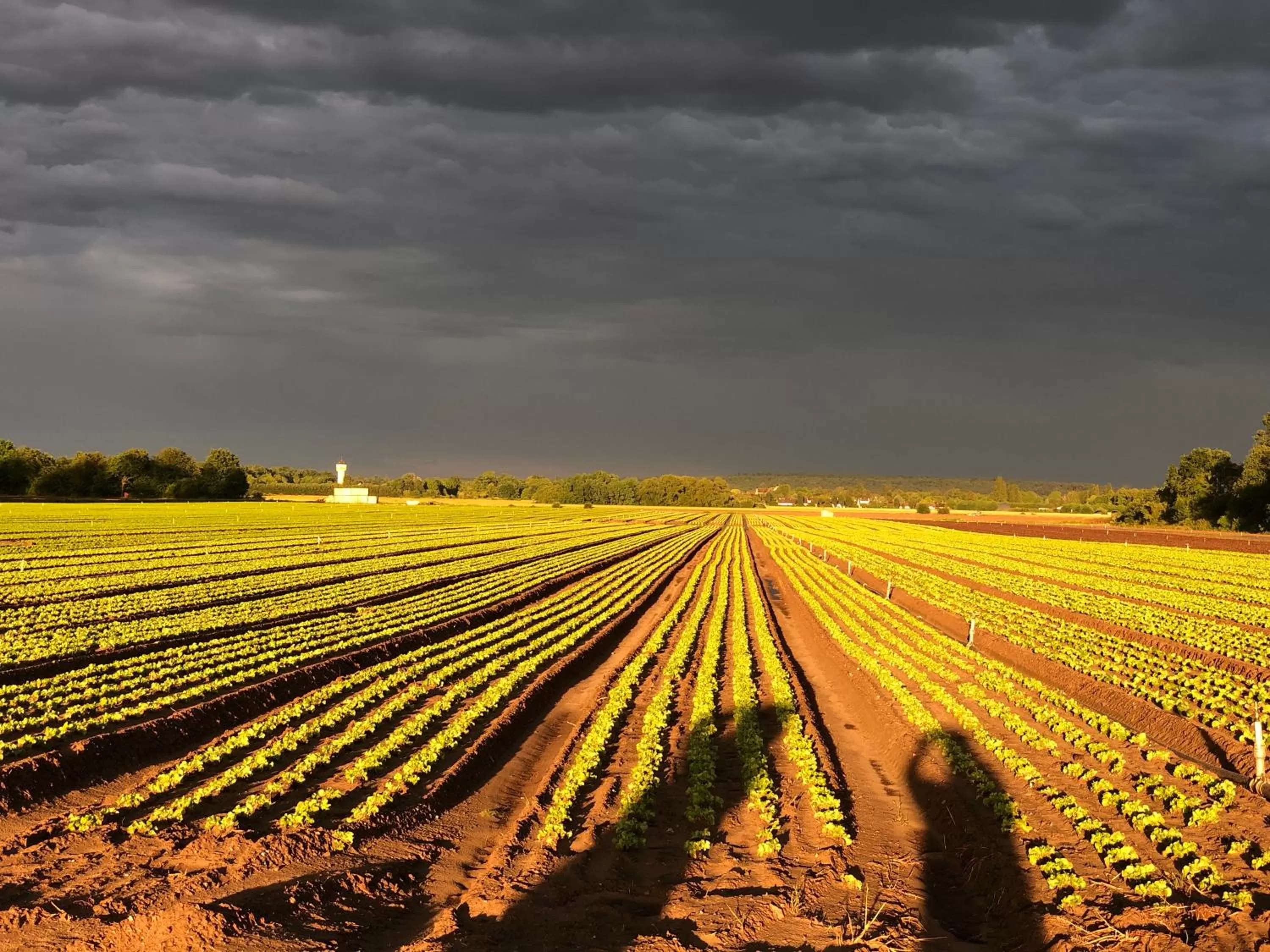 Natural Landscape in La plaine de l'Angelus