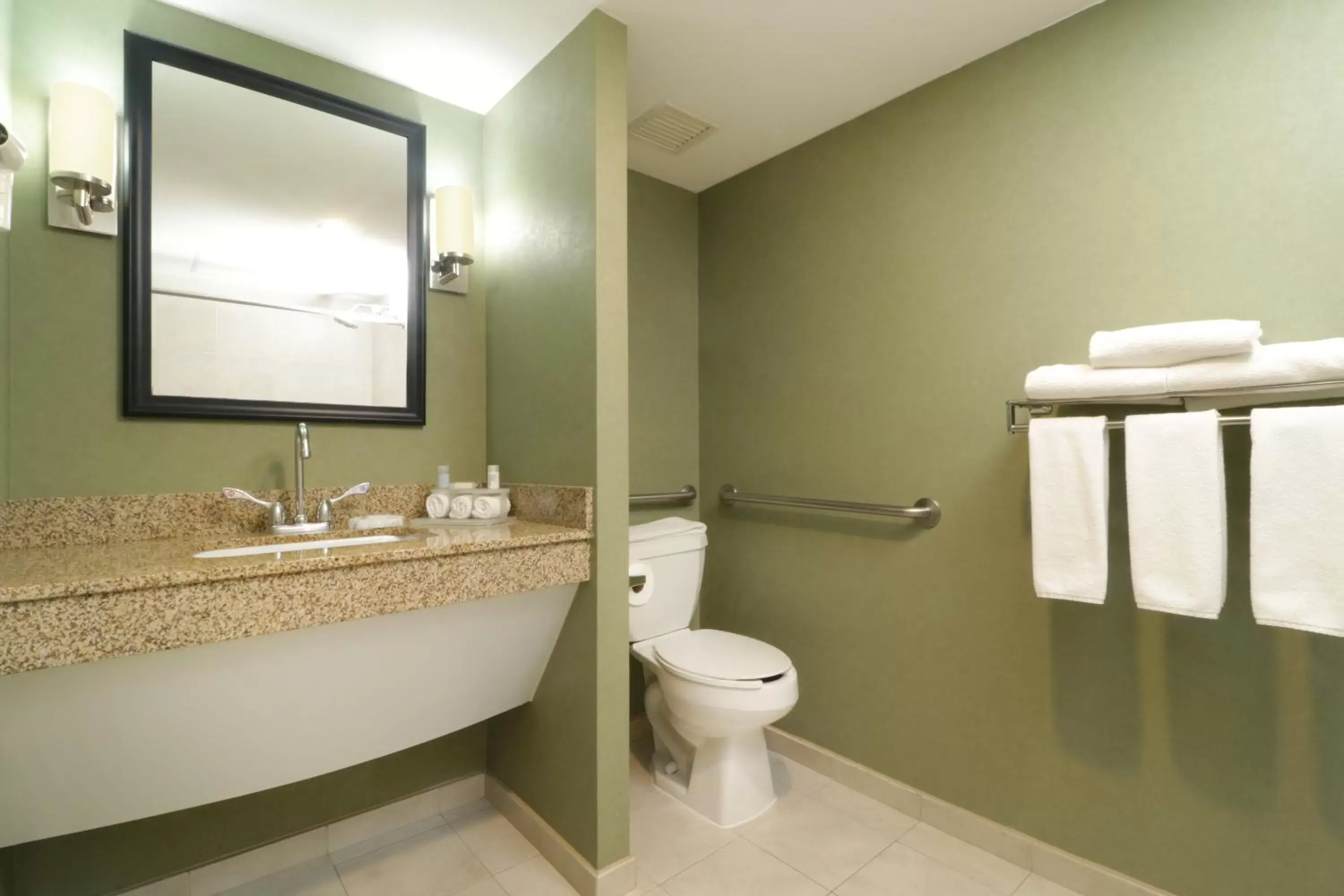 Photo of the whole room, Bathroom in Holiday Inn Express & Suites Monterrey Aeropuerto, an IHG Hotel