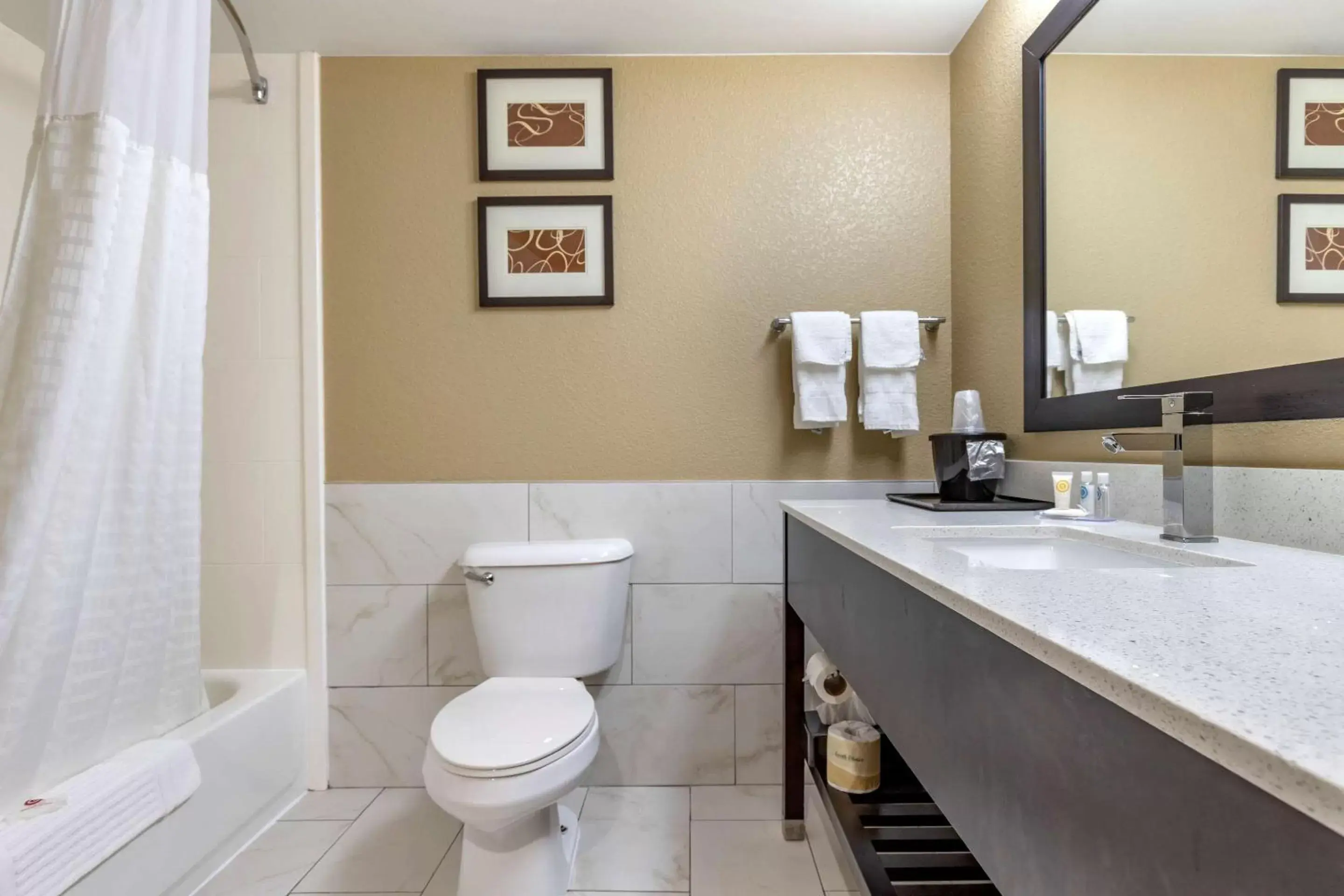 Photo of the whole room, Bathroom in Comfort Inn & Suites Mocksville I-40