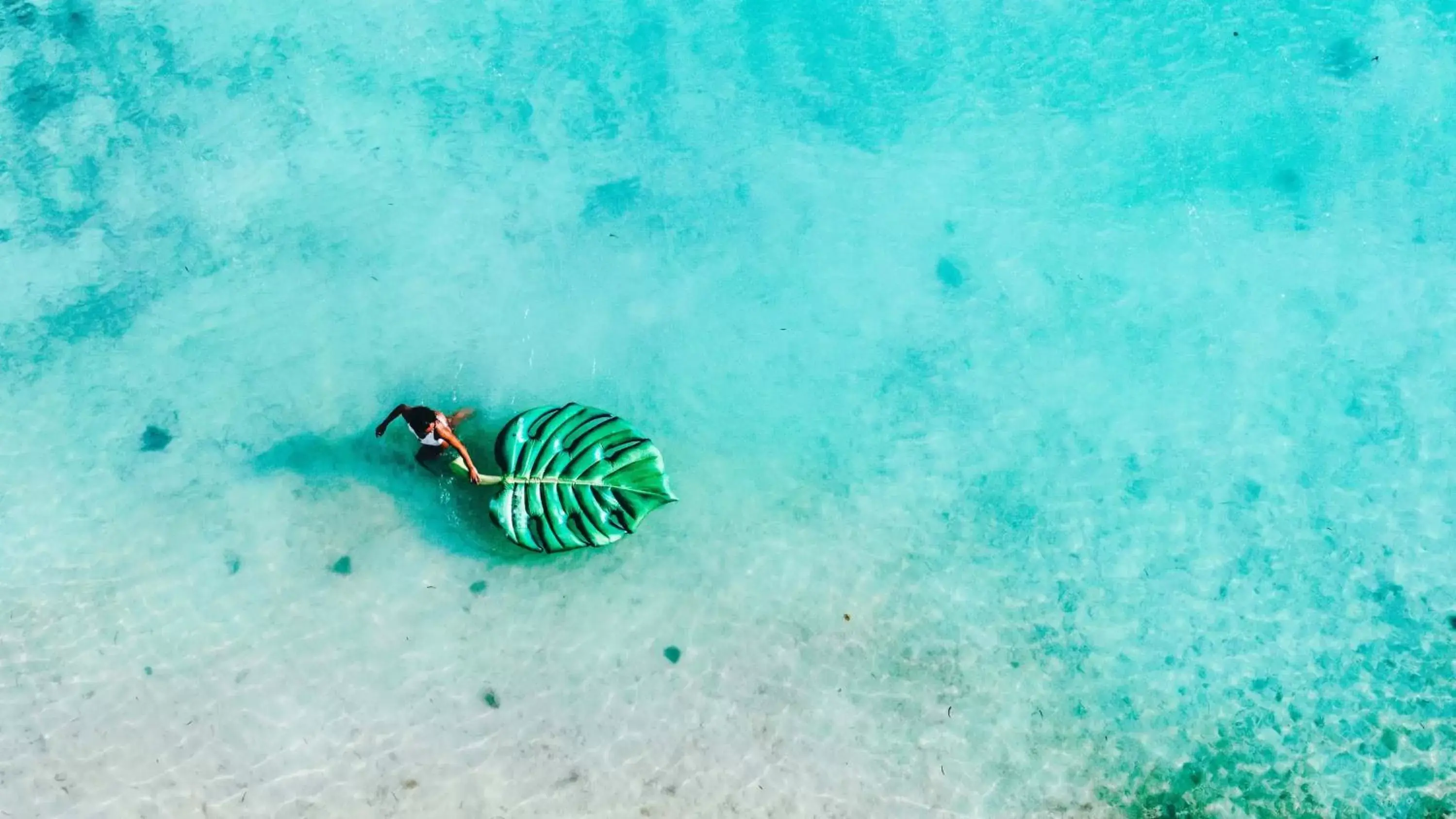 Beach, Other Animals in Holiday Inn Resort Kandooma Maldives - Kids Stay & Eat Free