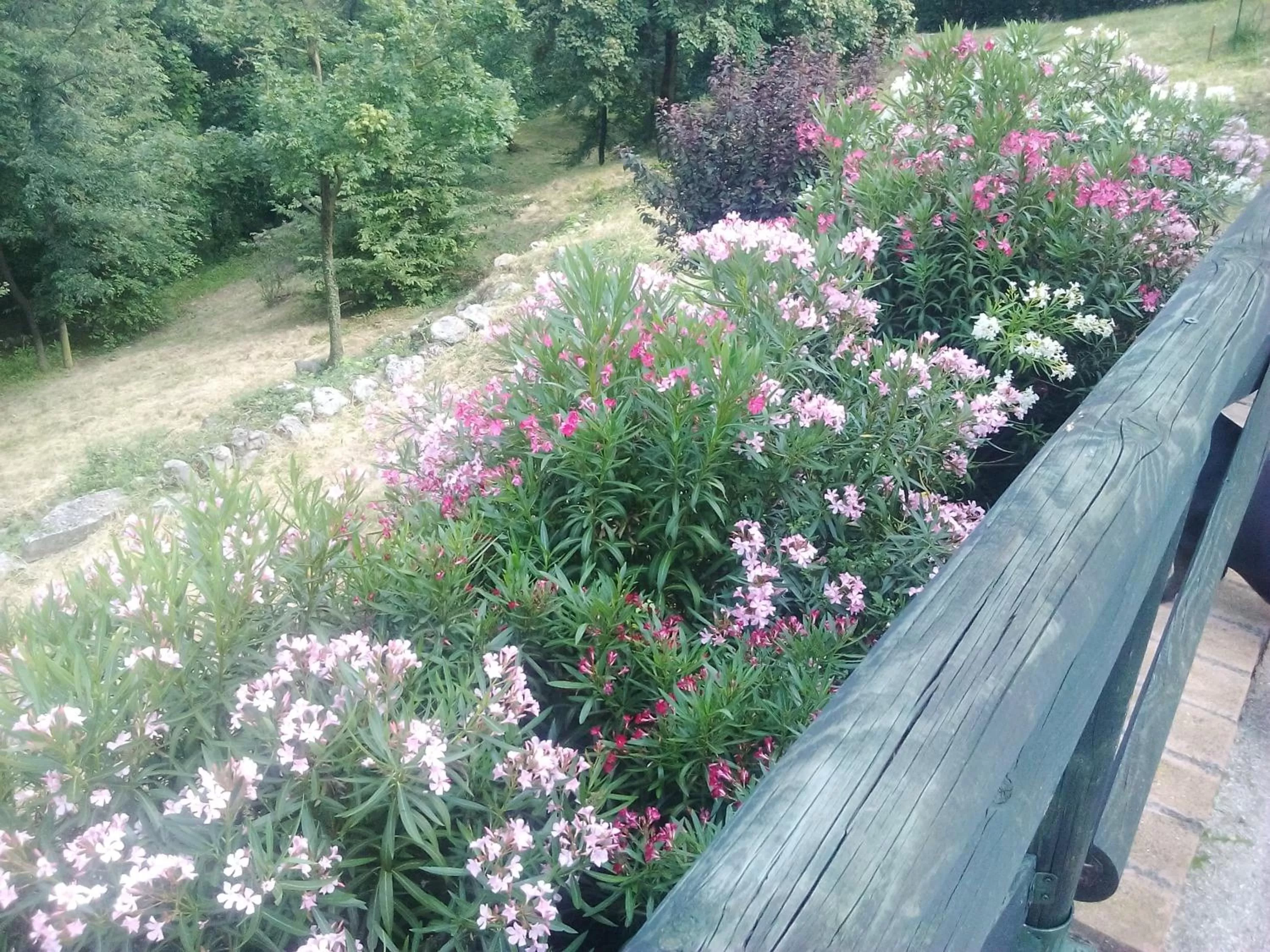 Garden view in B&B Il Suono del Bosco