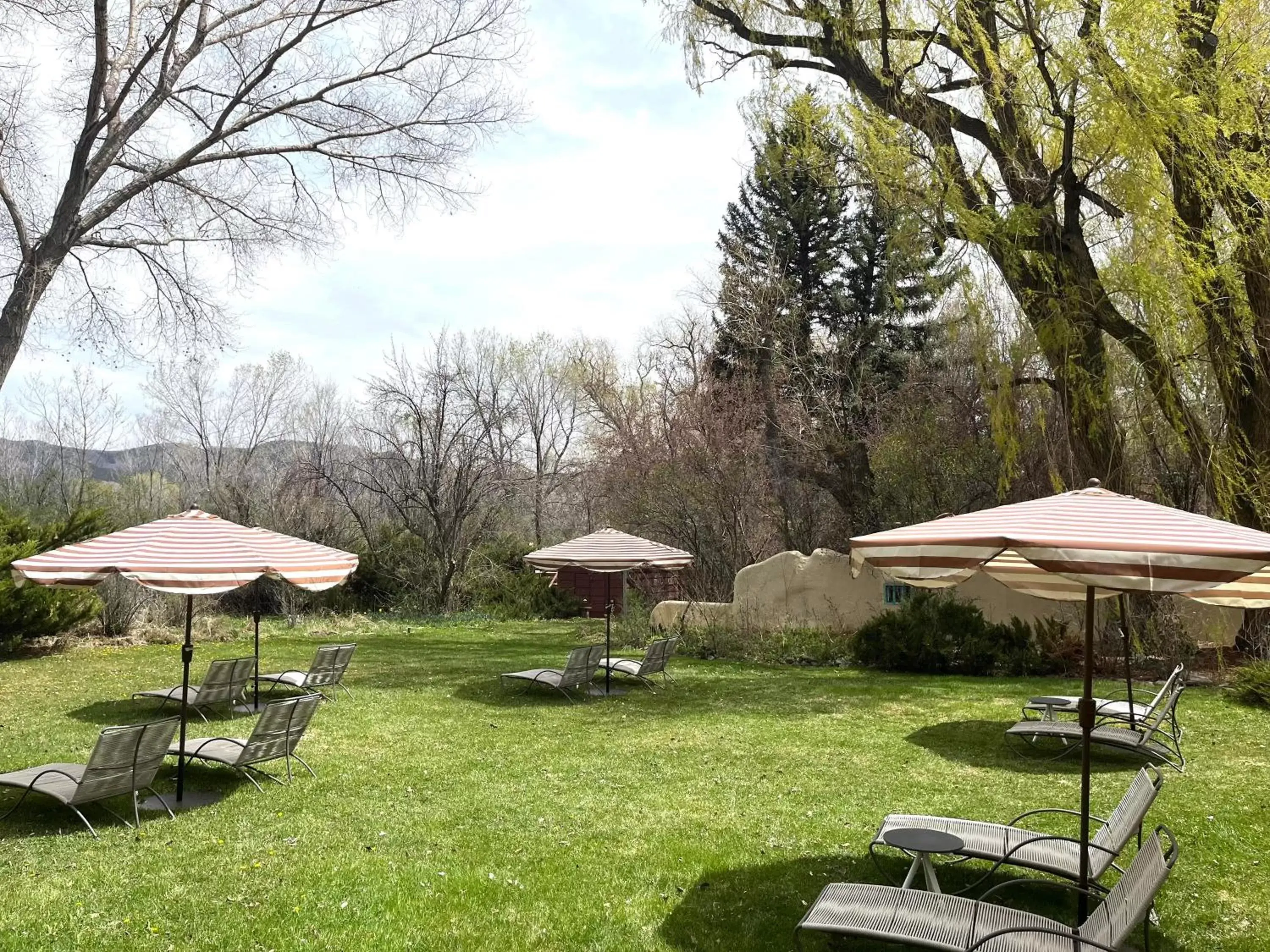 Garden view, Garden in Hacienda Del Sol