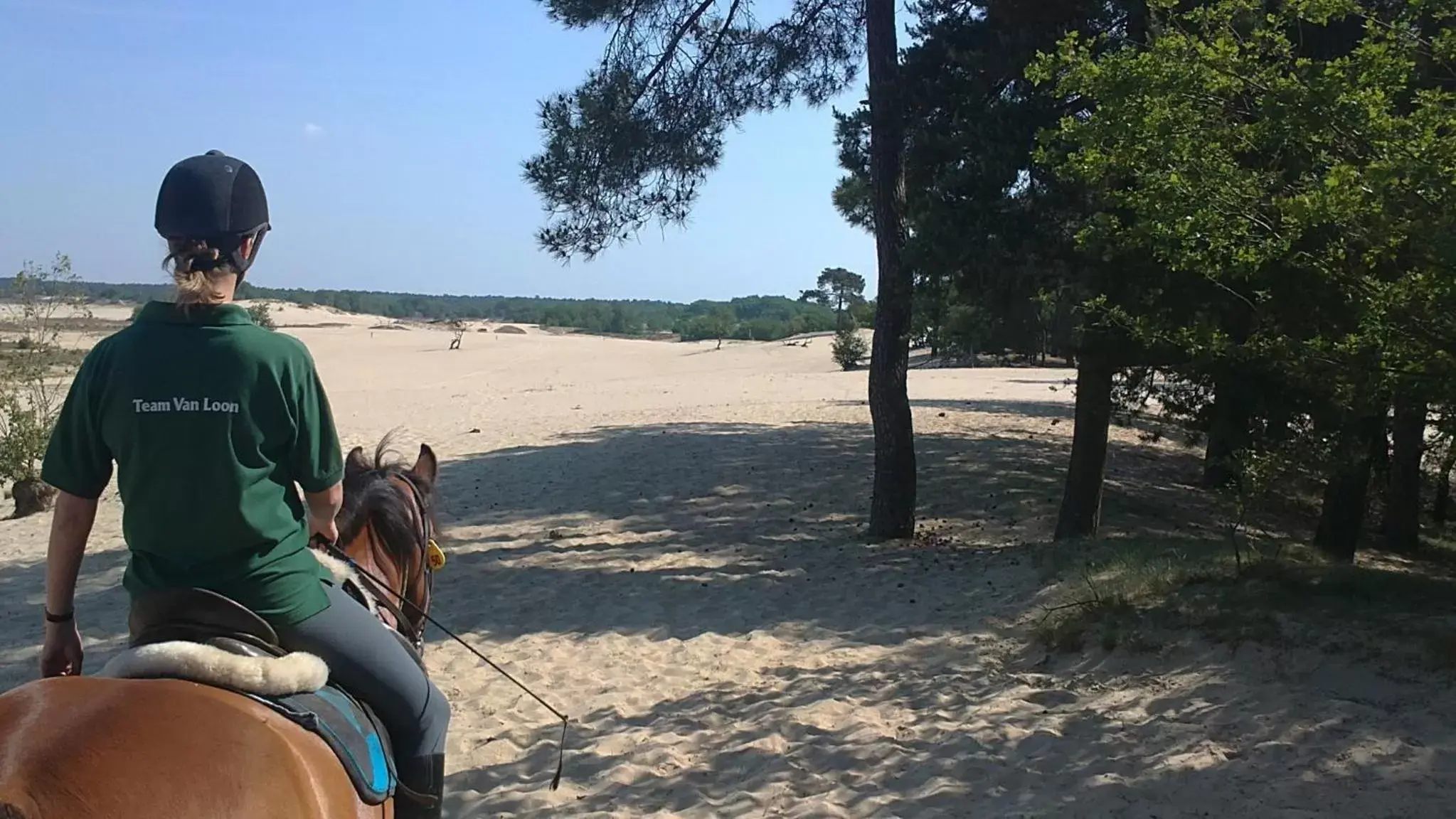 Horse-riding in Natuurpoort van Loon