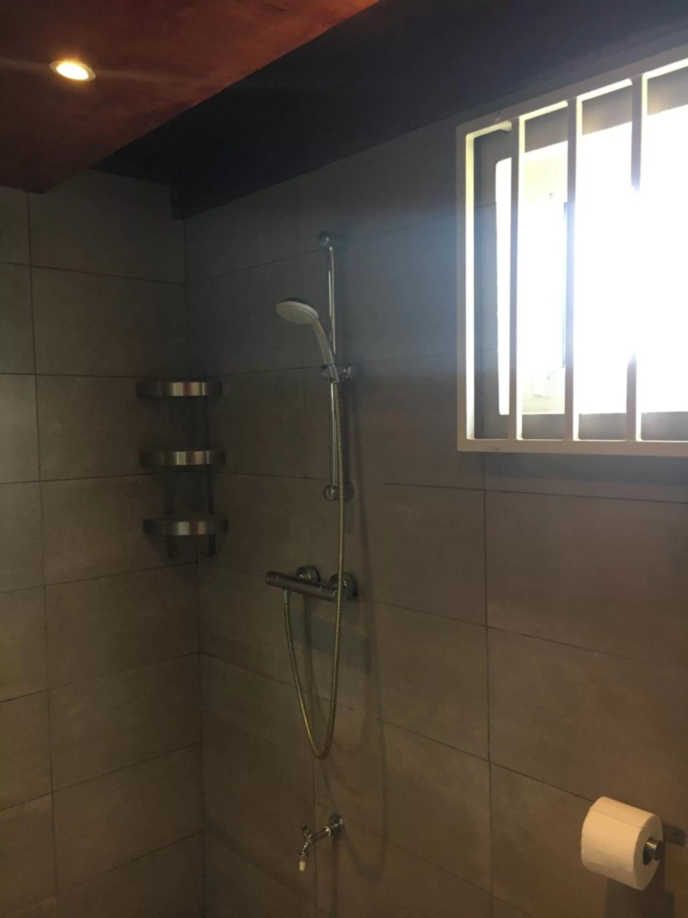 Shower, Bathroom in Asteria Studios