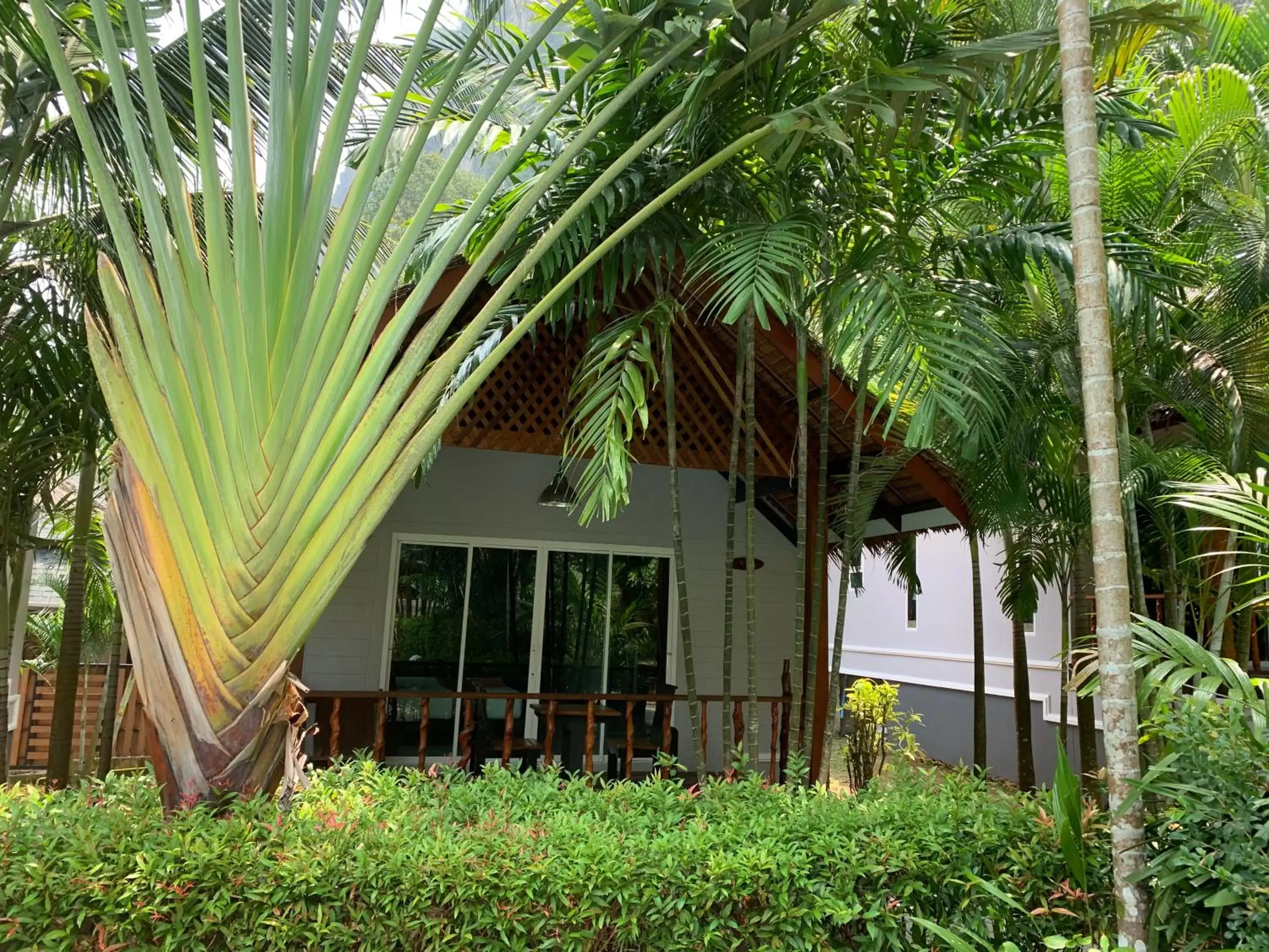 Property Building in Vipa Tropical Resort