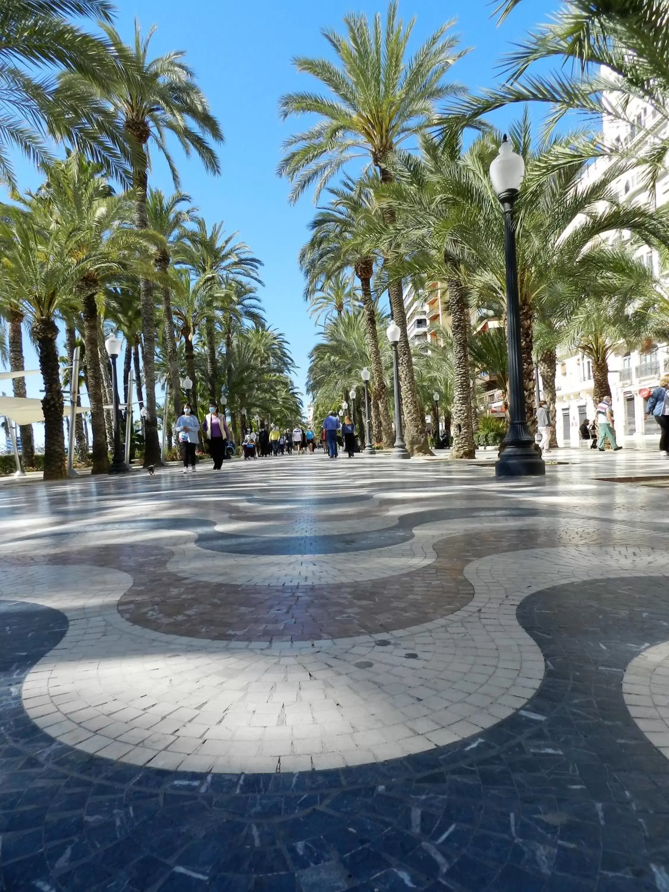 Swimming Pool in Hotel BH San Francisco Alicante