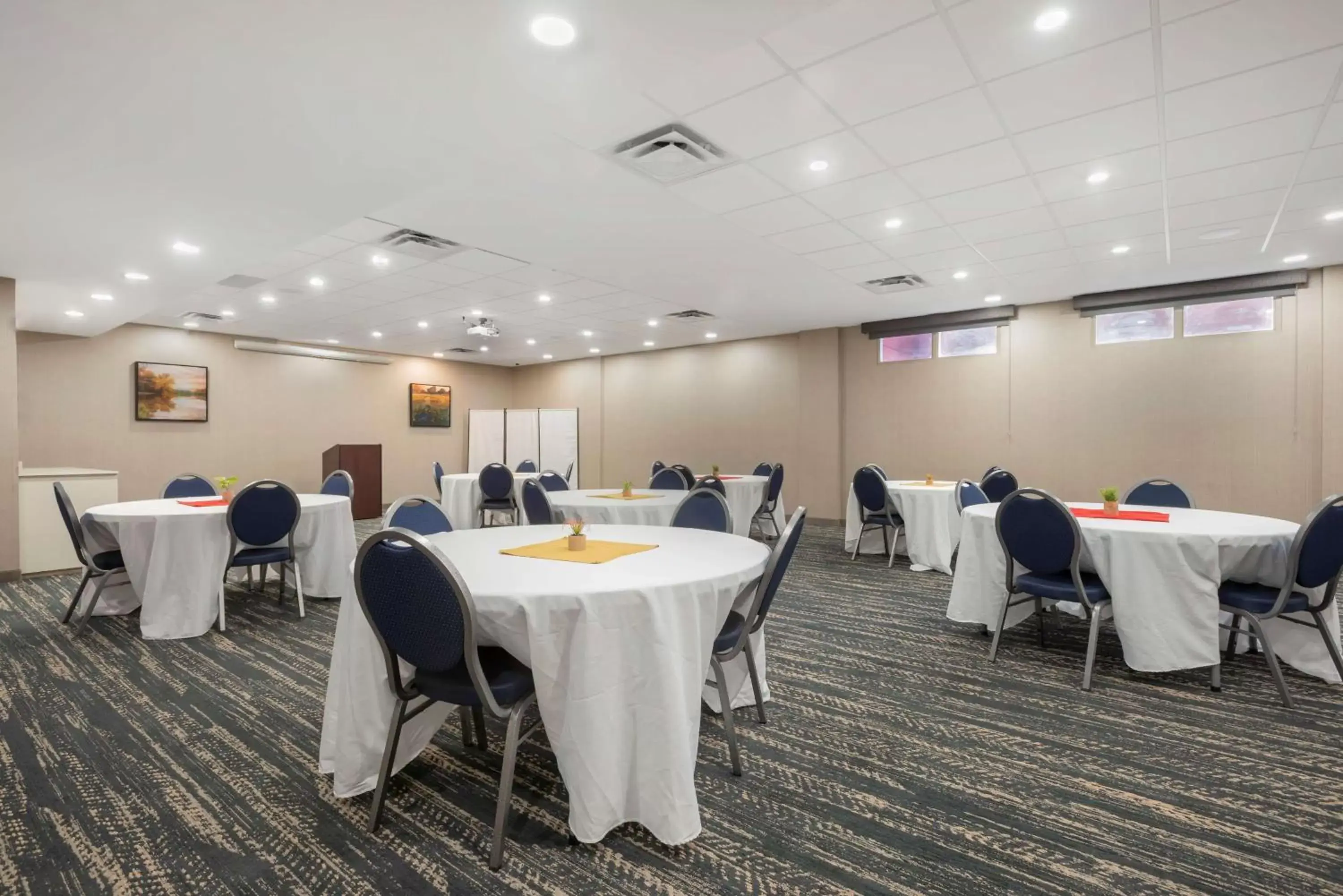 Banquet/Function facilities in Best Western Premier Executive Residency Medicine Hat