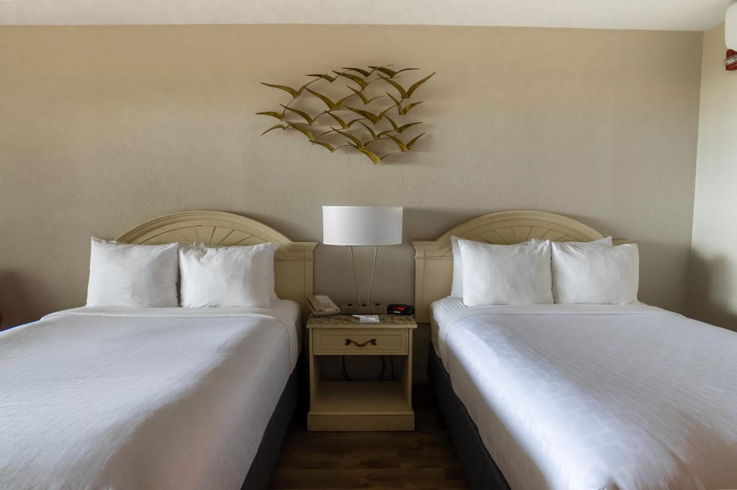 Bed in Emerald Beach Hotel Corpus Christi