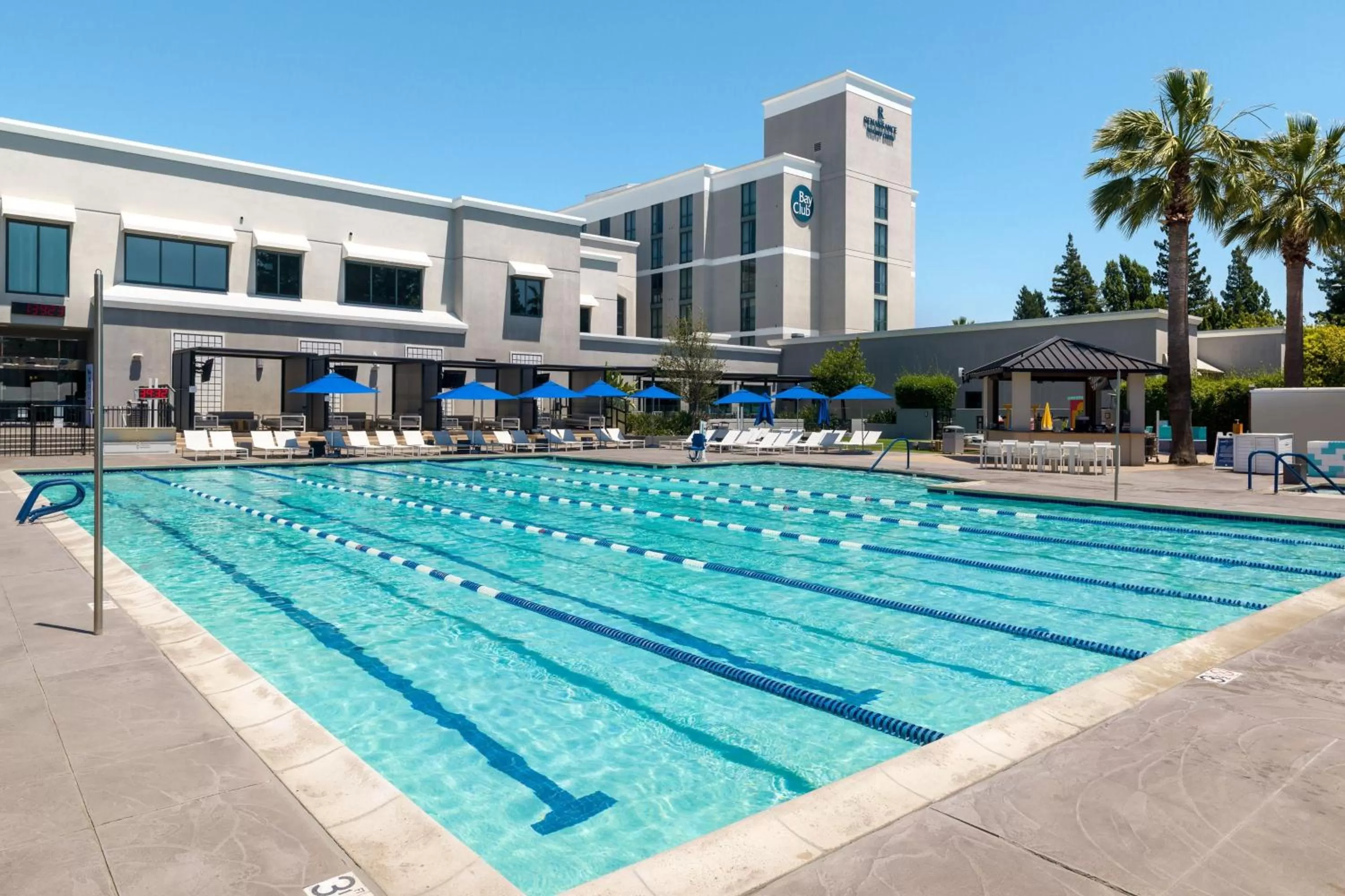 Swimming pool in Renaissance Walnut Creek Hotel