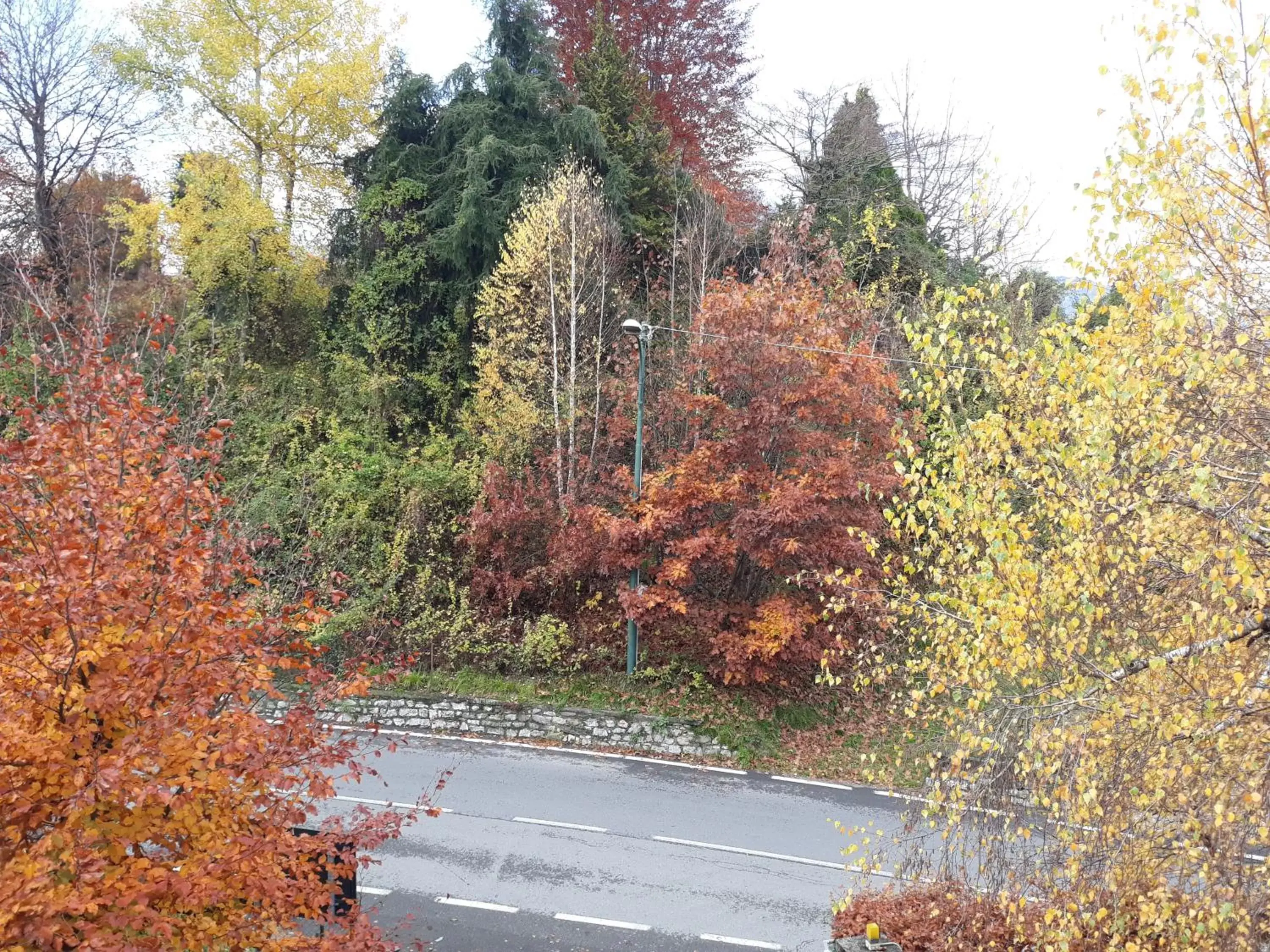 Natural landscape in Hotel Il Perlo Panorama