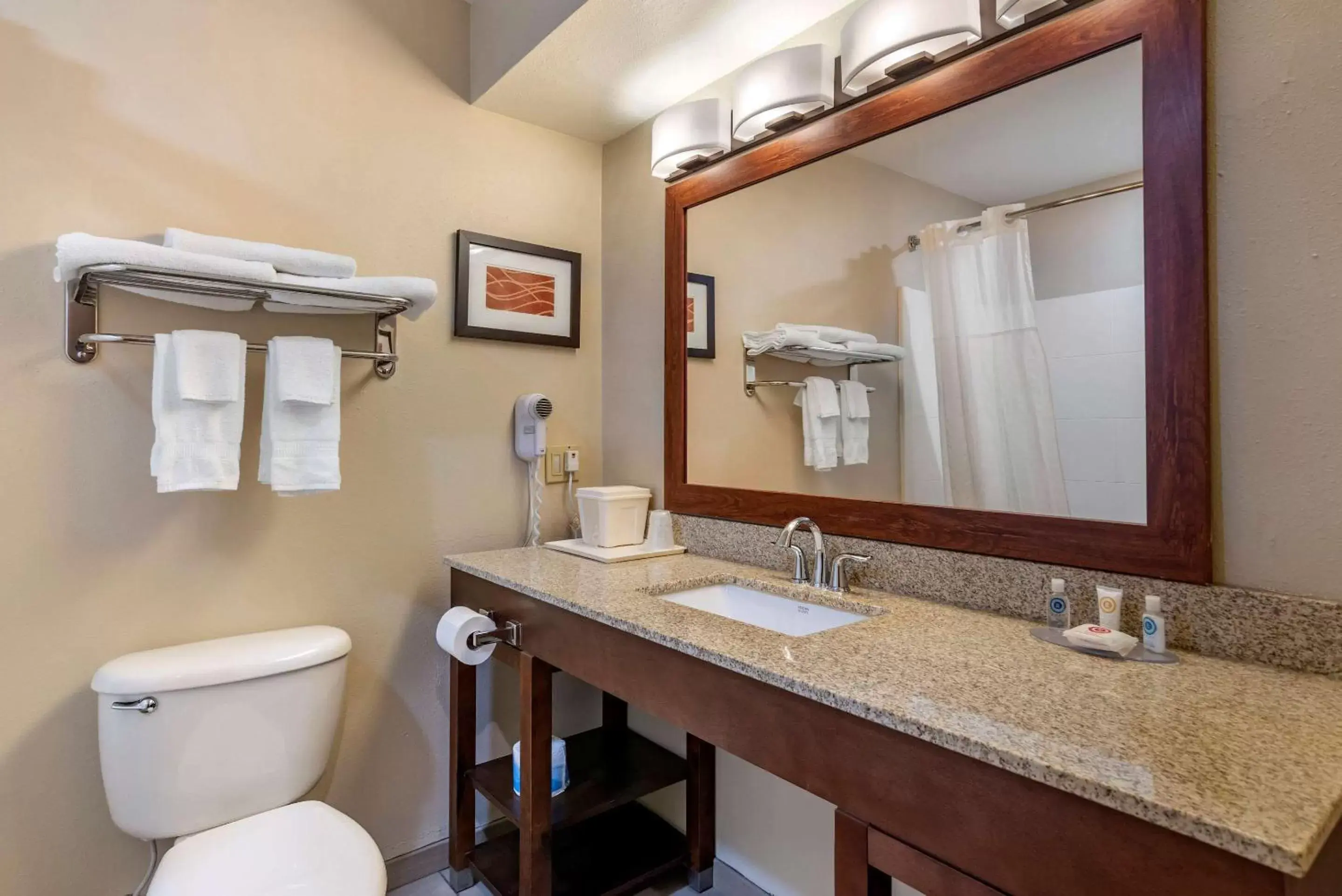 Photo of the whole room, Bathroom in Comfort Inn Amite