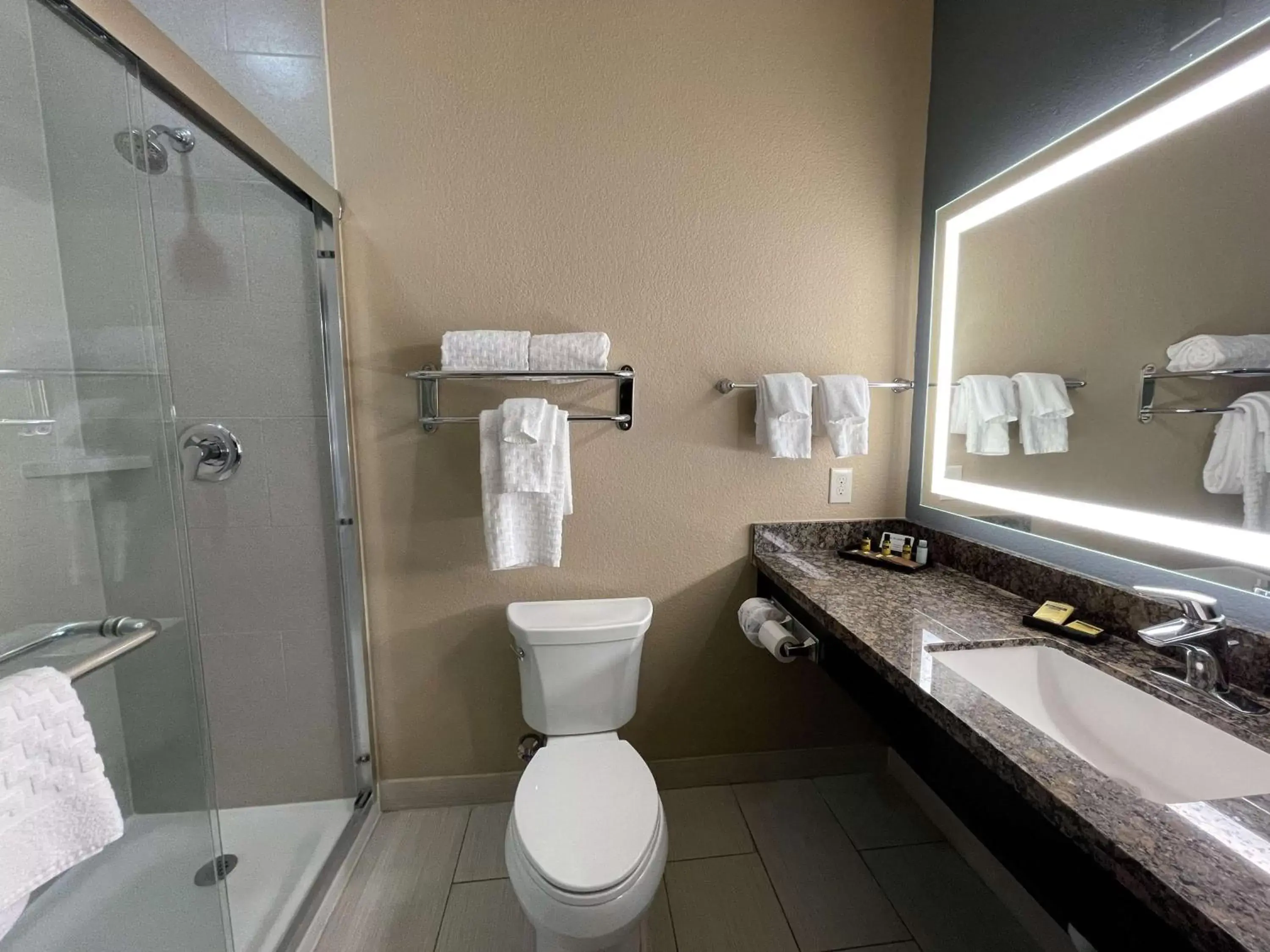 Bathroom in Best Western Plus Lake Jackson Inn & Suites