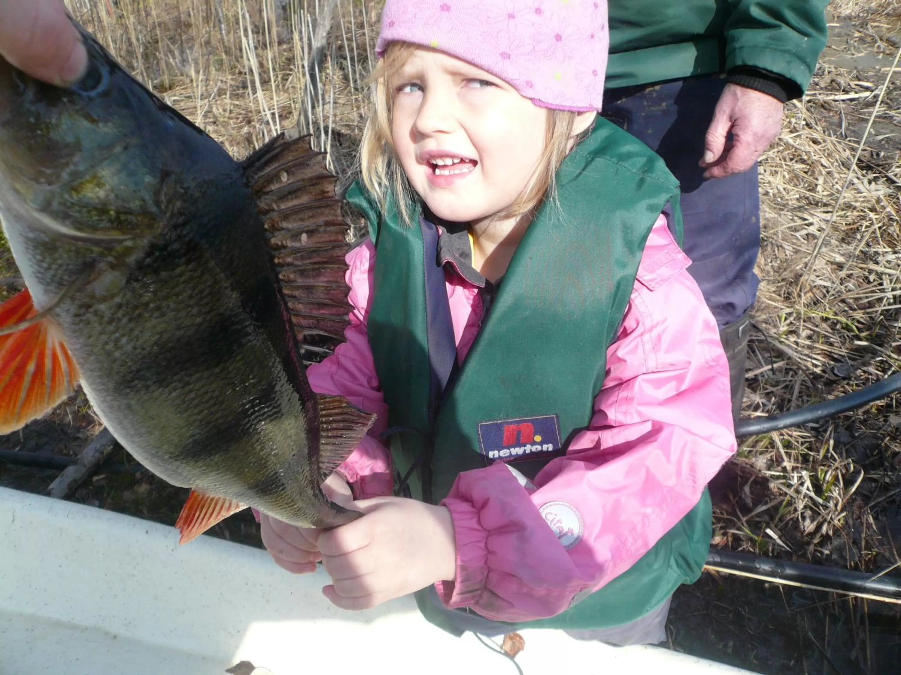 Day in B&B Lomamokkila