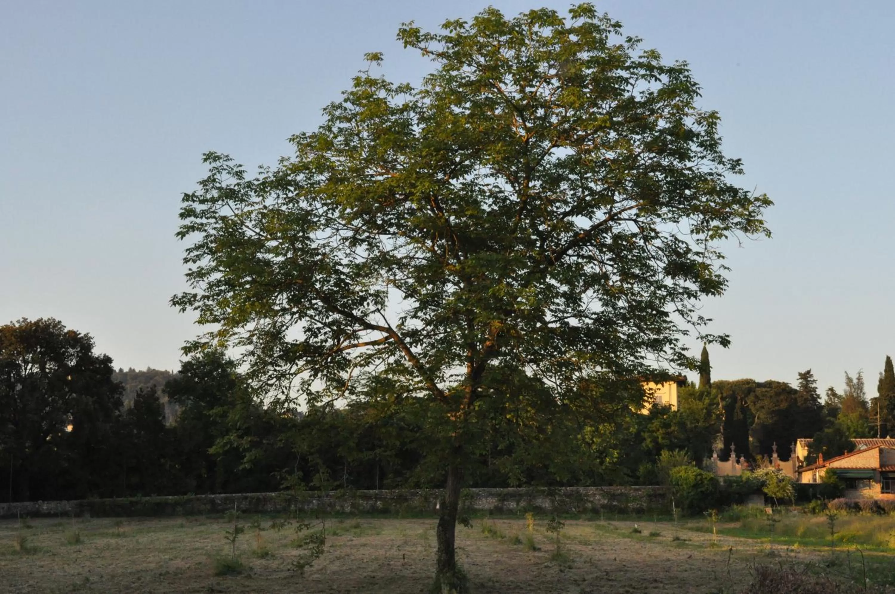 Garden view in Armonie di Villa Incontri B&B