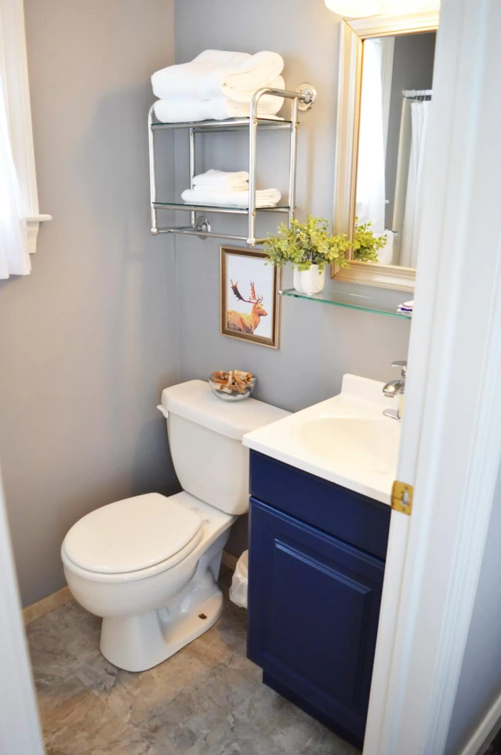 Shower, Bathroom in Mountain View Suites