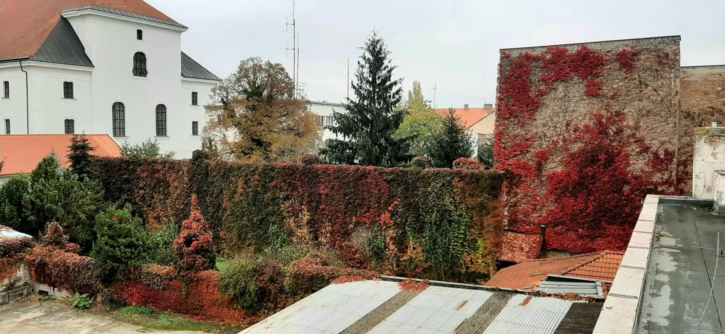 Apartment in Hotel Litovel Apartment in Hotel Litovel