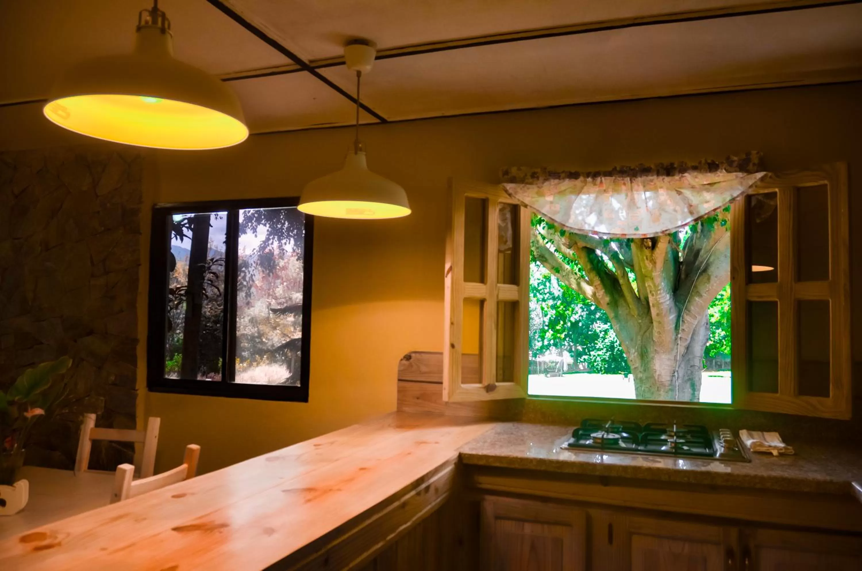 Kitchen or kitchenette in Hotel Rancho Constanza & Cabañas de la Montaña