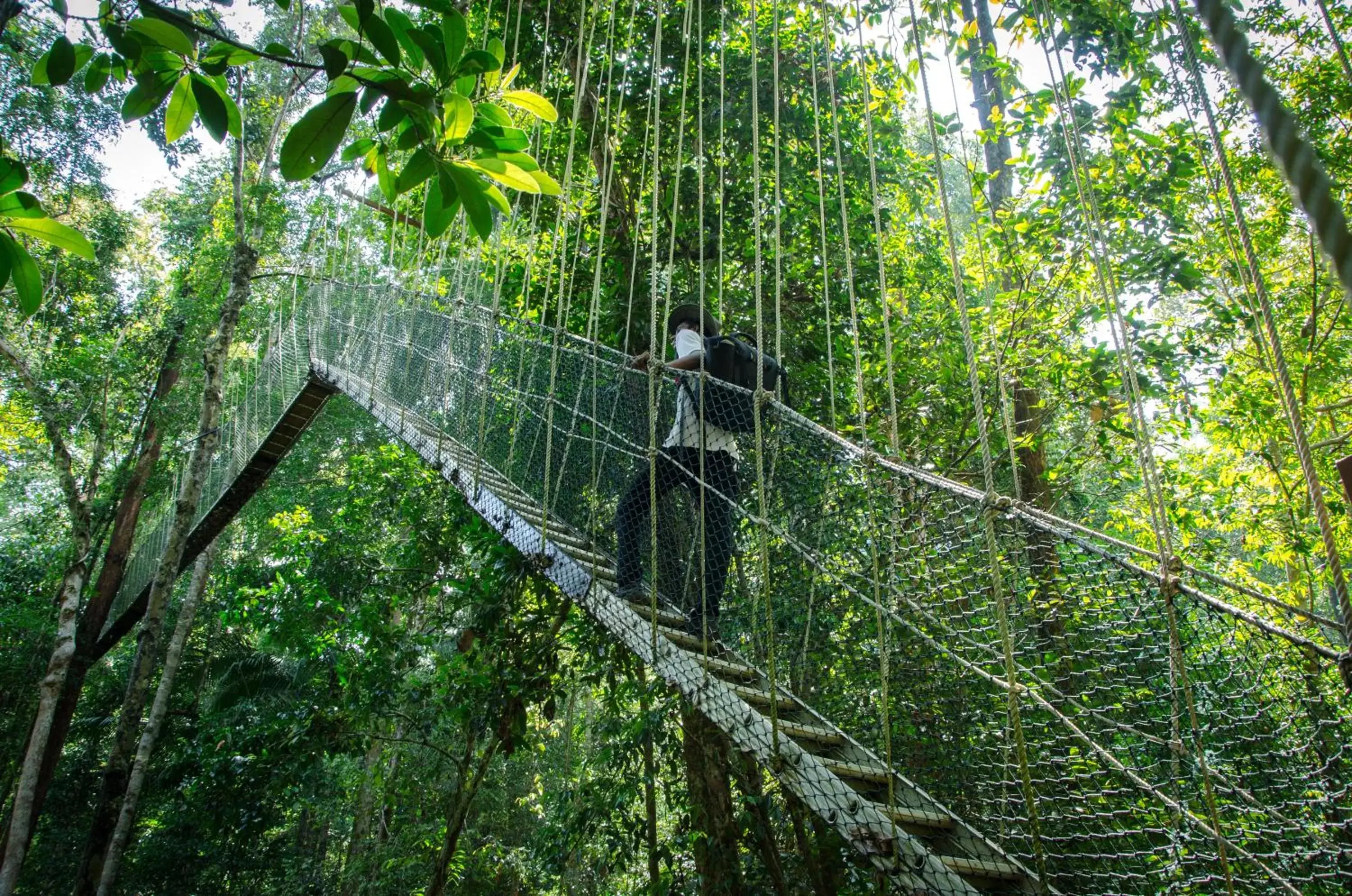 Activities in Mutiara Taman Negara