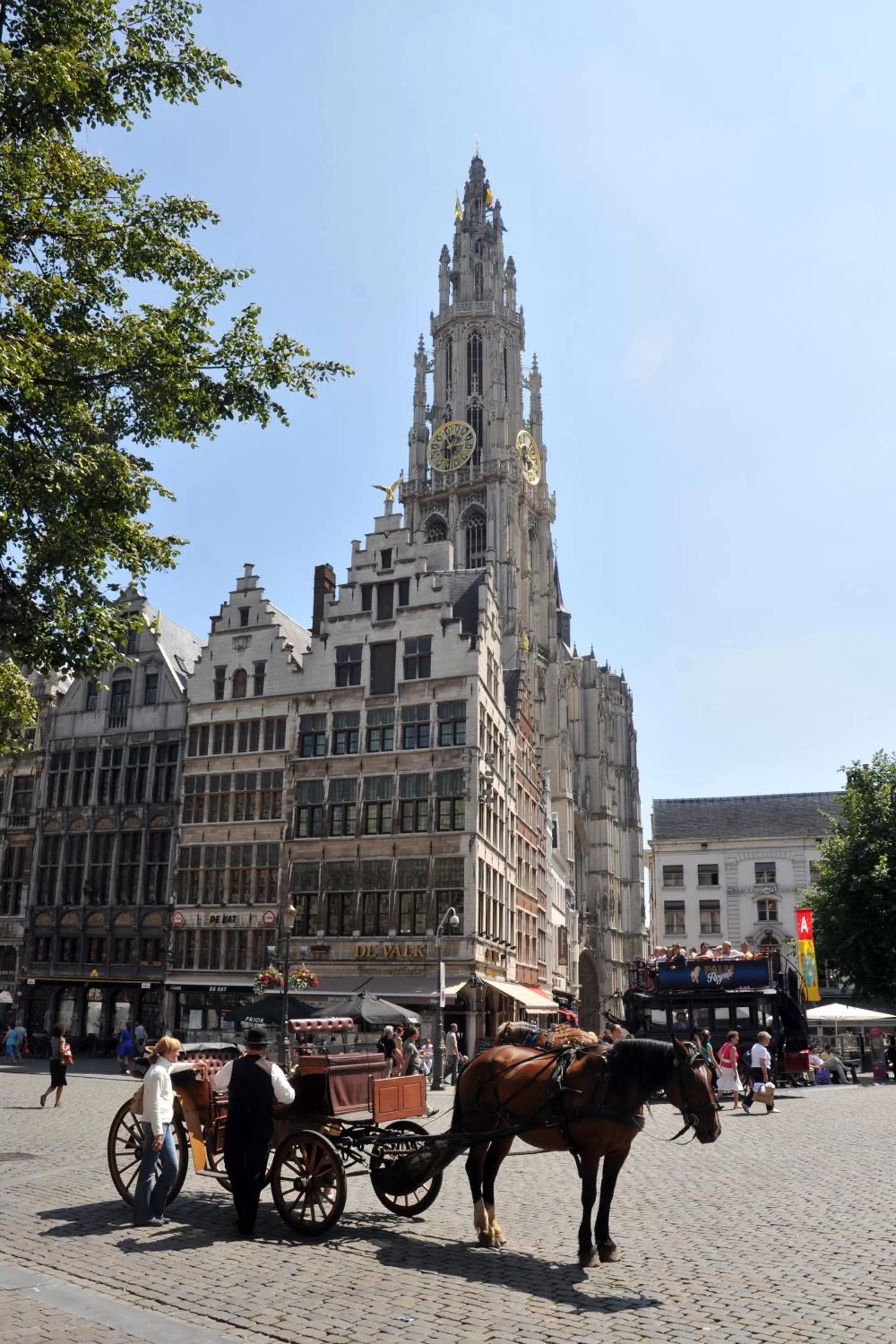 Area and facilities in Arass Hôtel & Business Flats