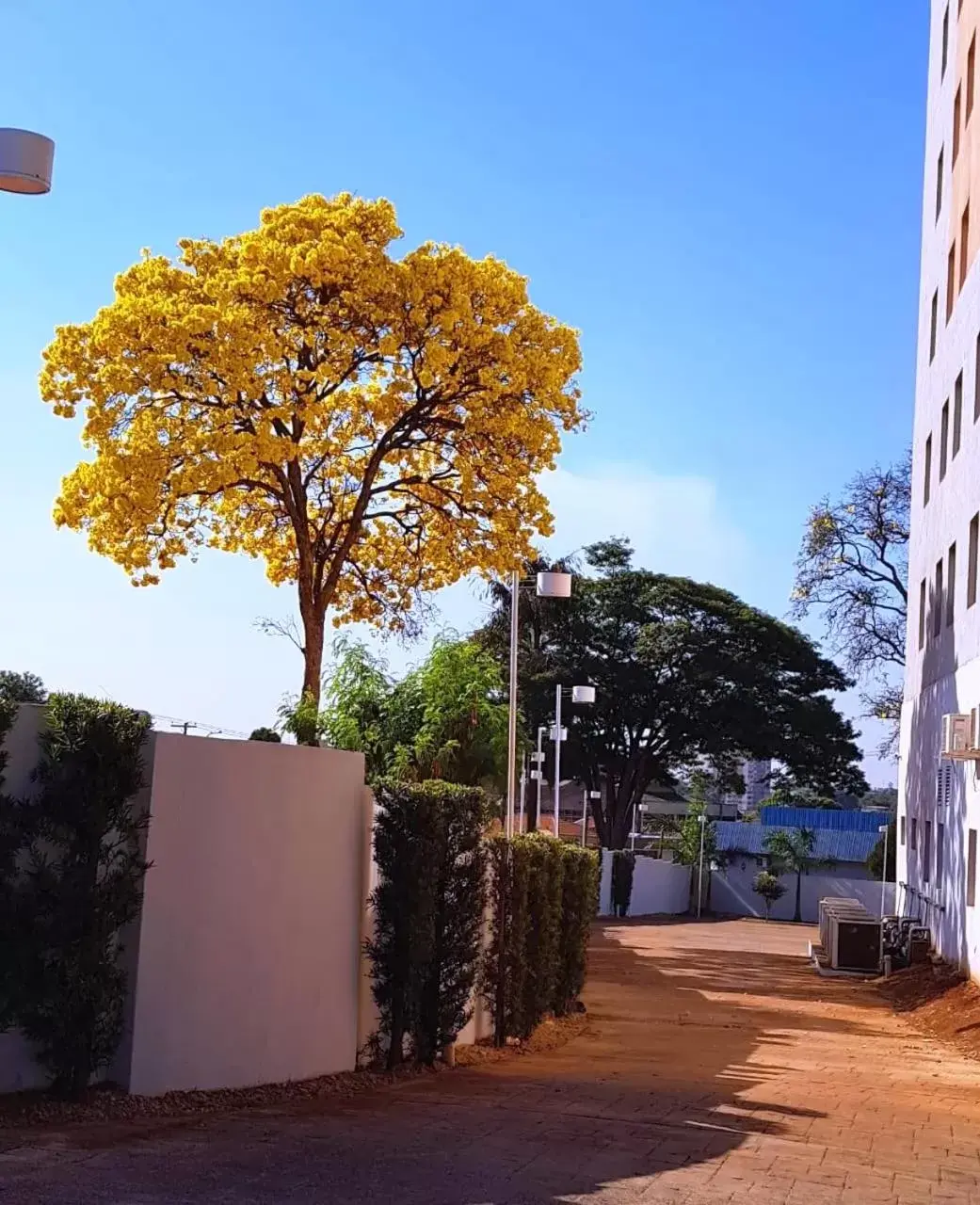 Property building in Ibis Sertaozinho Property building in Ibis Sertaozinho