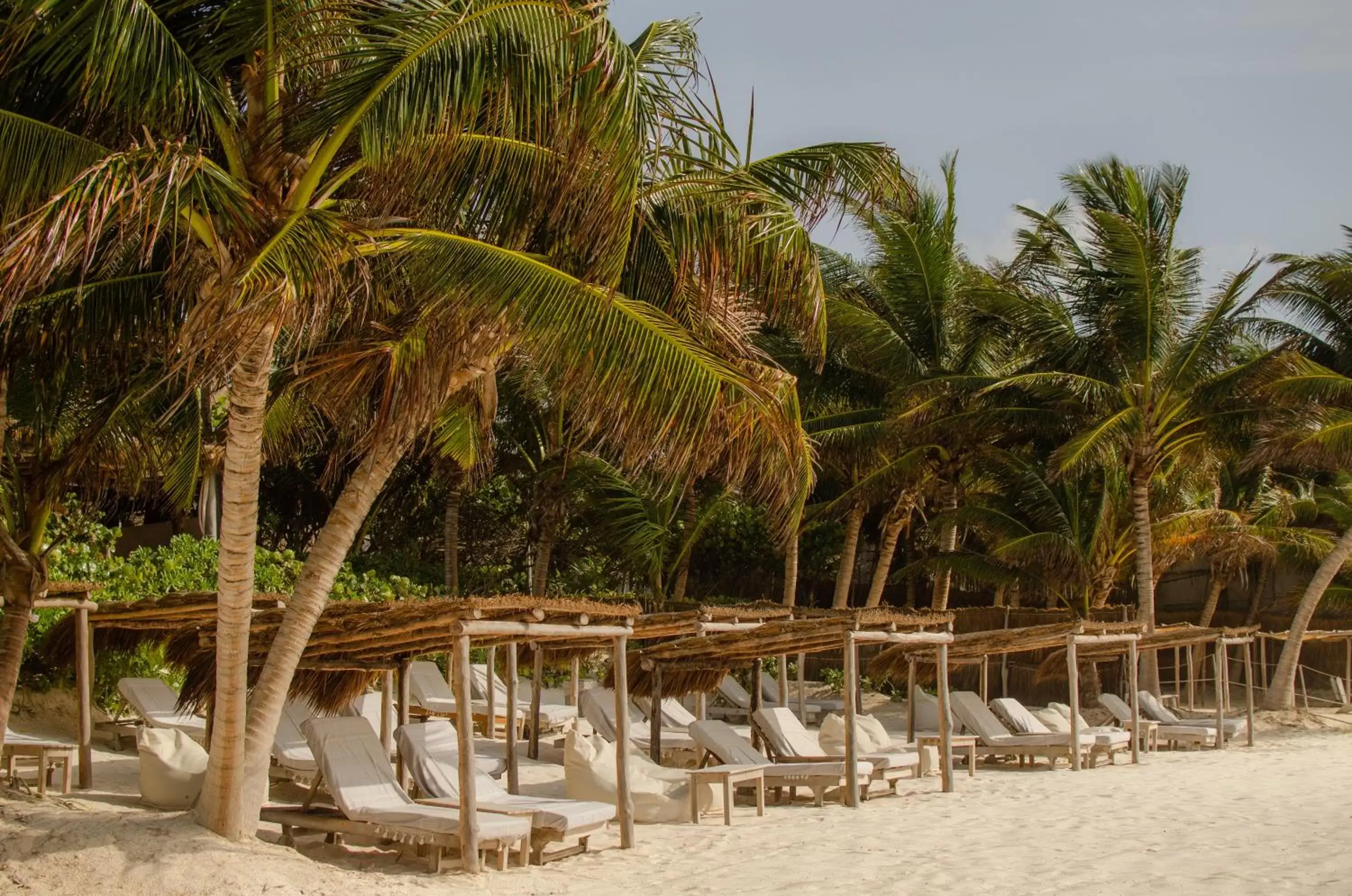 Beach in Encantada Tulum