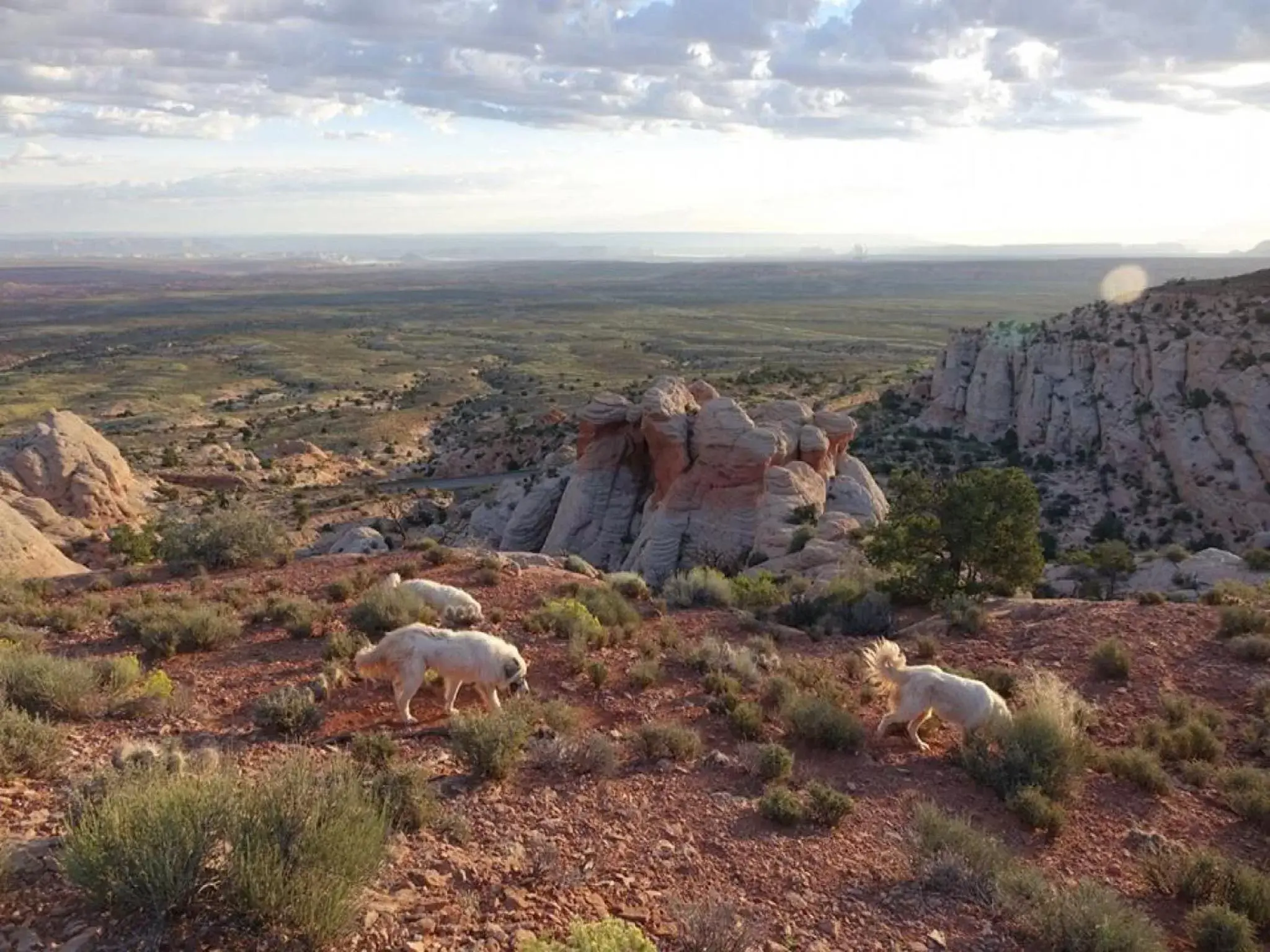 Activities in Shash Dine' EcoRetreat