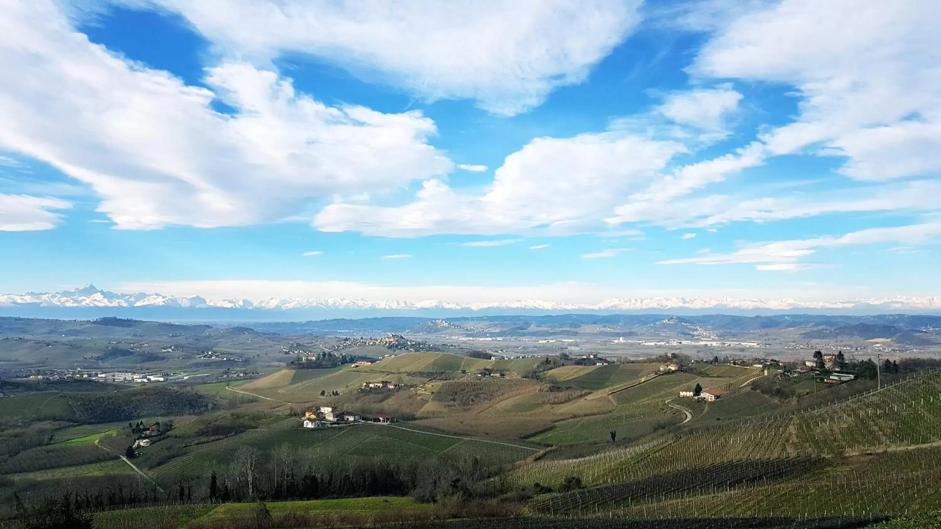 View (from property/room), Bird's-eye View in Villa Bellavista Alba, B&B