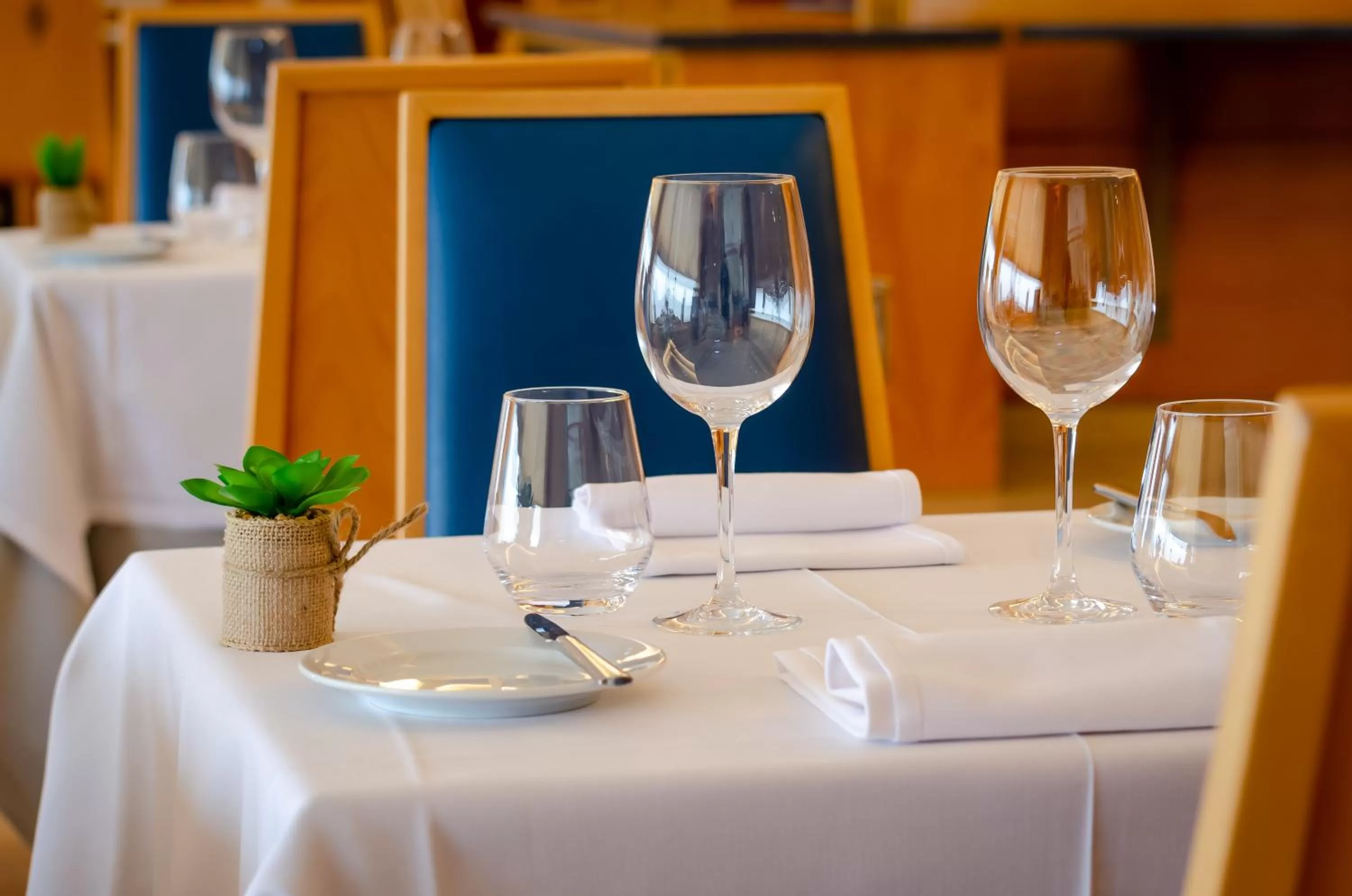 Restaurant/places to eat in Hotel Roma