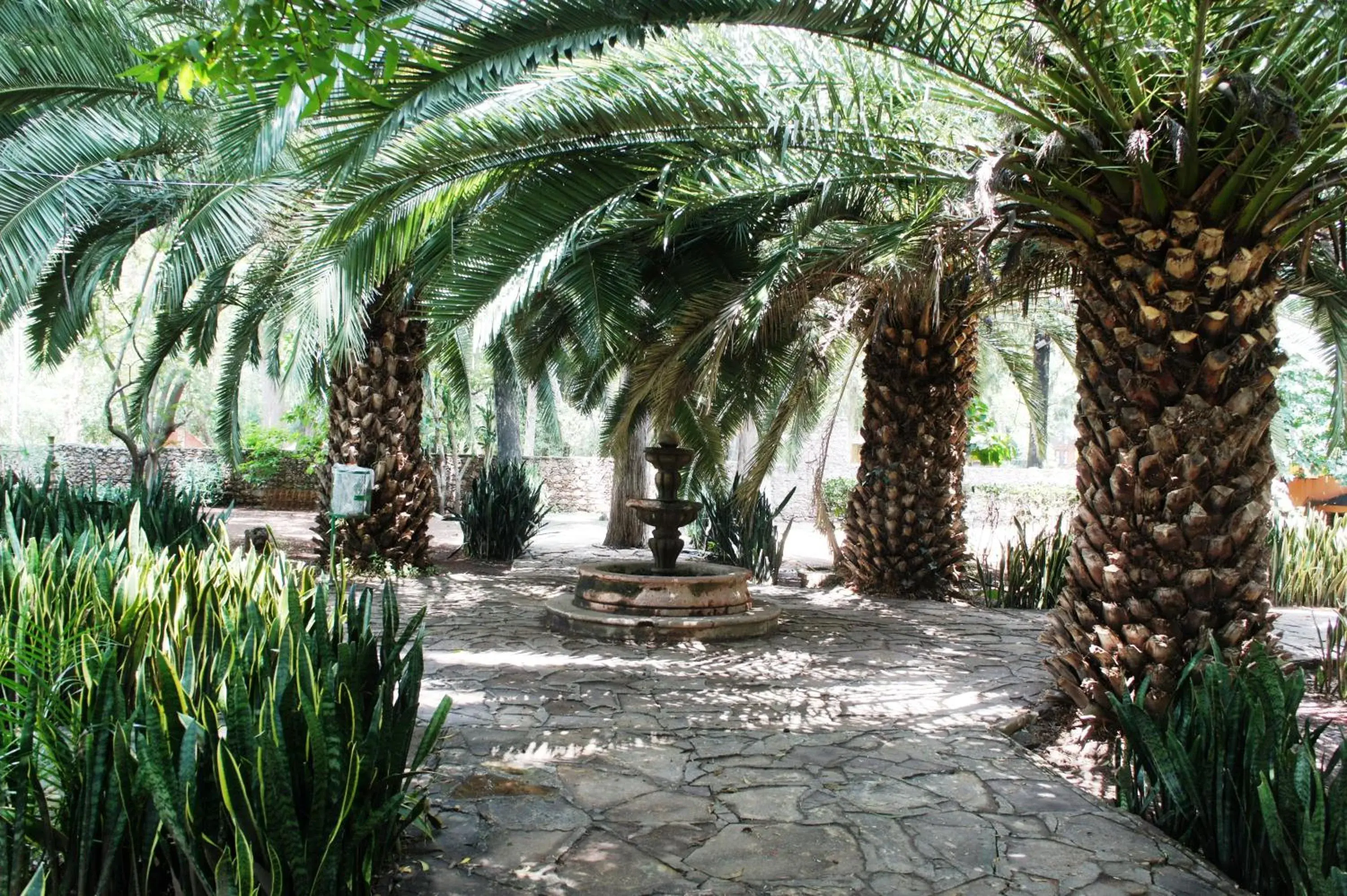 Natural landscape, Garden in El Marques Hacienda