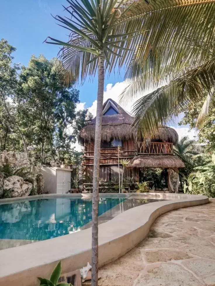 Swimming Pool in Zamunda Garden View