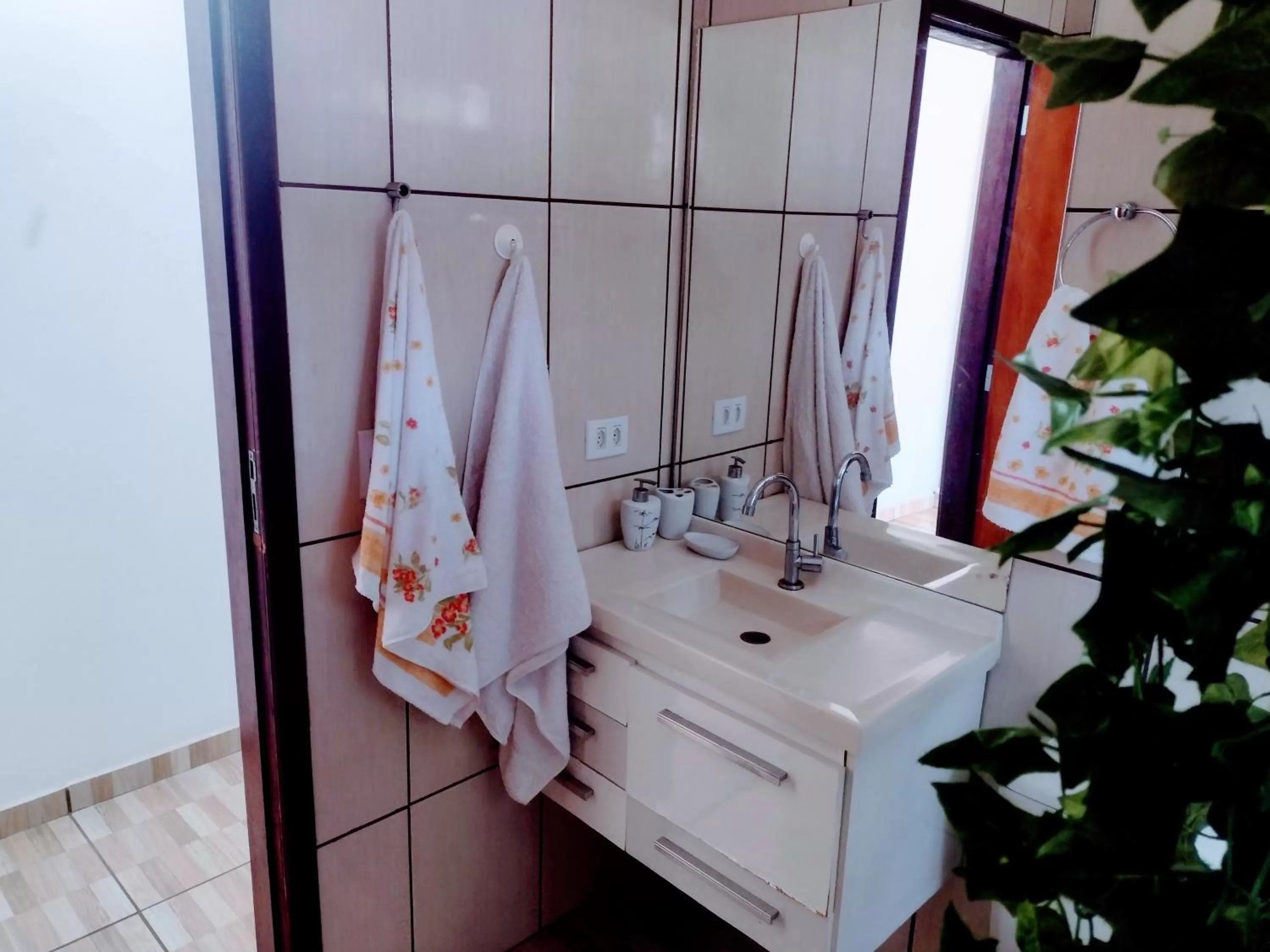 Suits - Canto do sabia