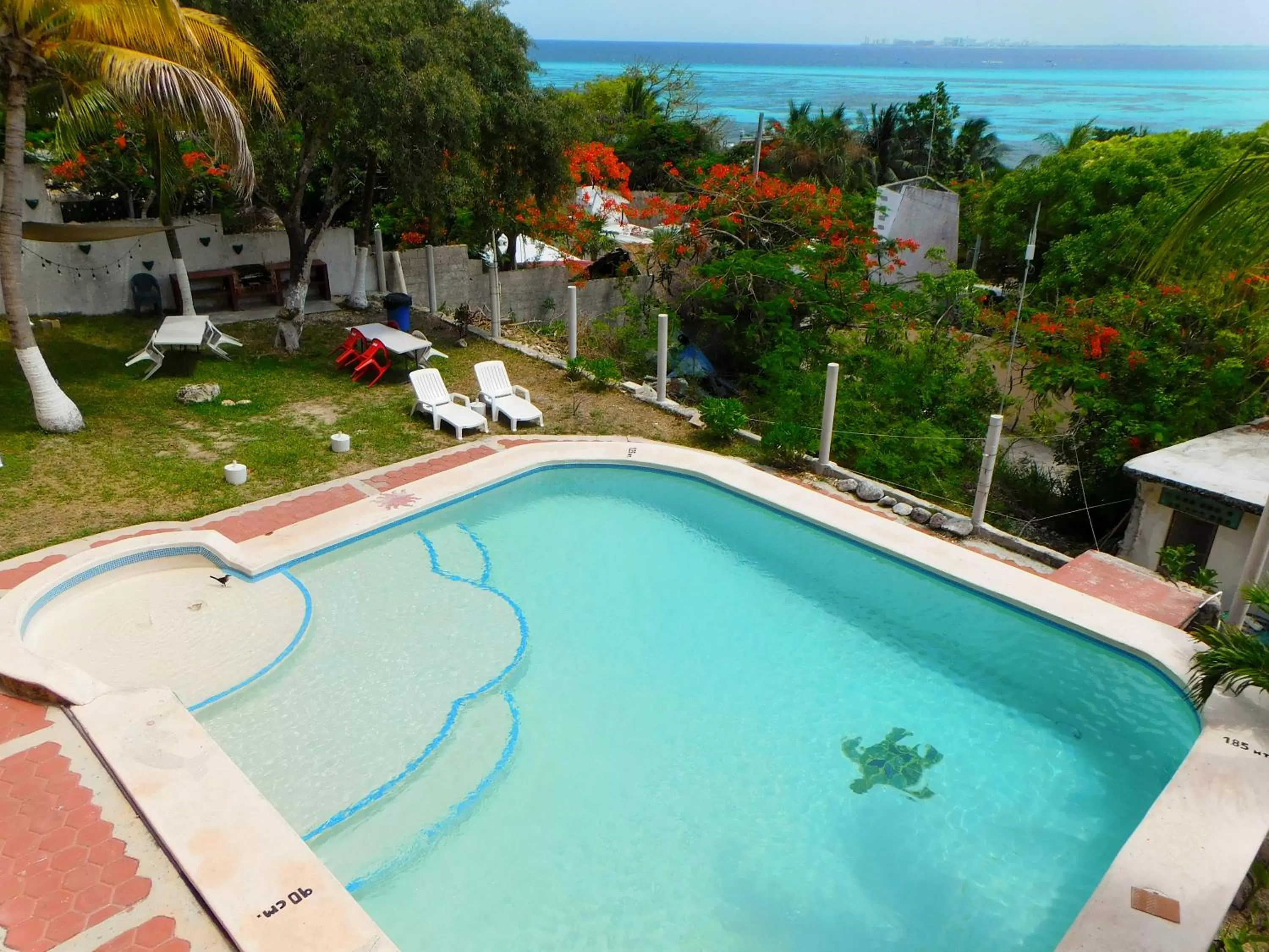 Pool View in Hotel Ma Elena