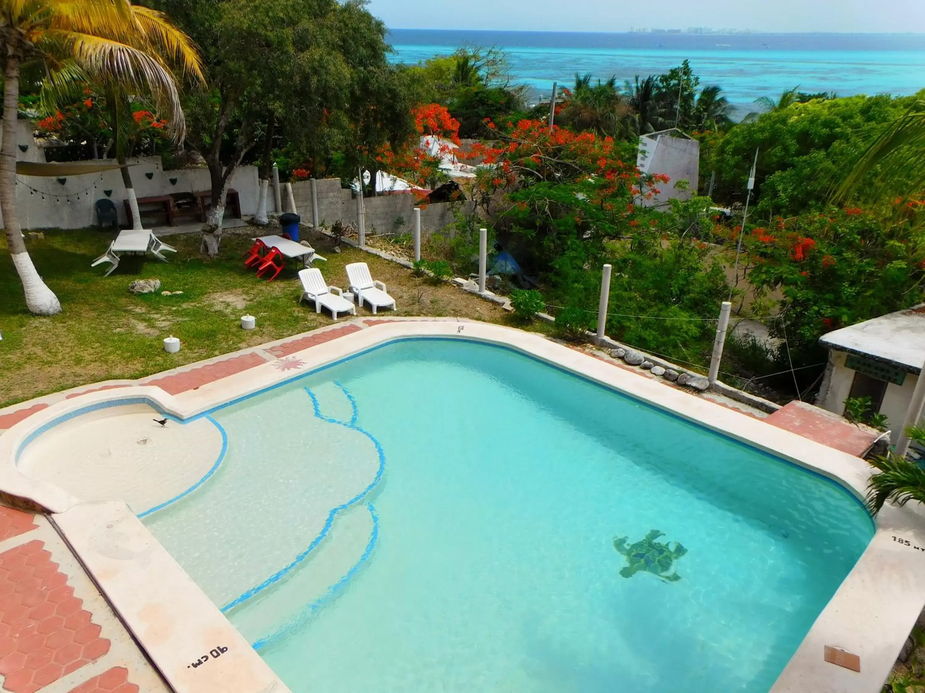 Pool View in Hotel Ma Elena