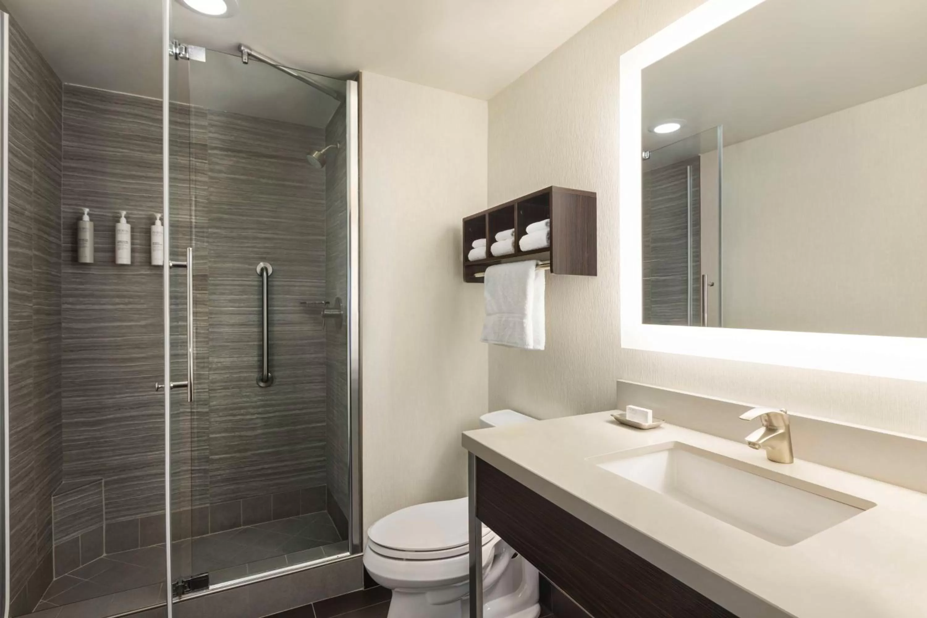 Bathroom in Hampton Inn San Francisco Downtown/Convention Center