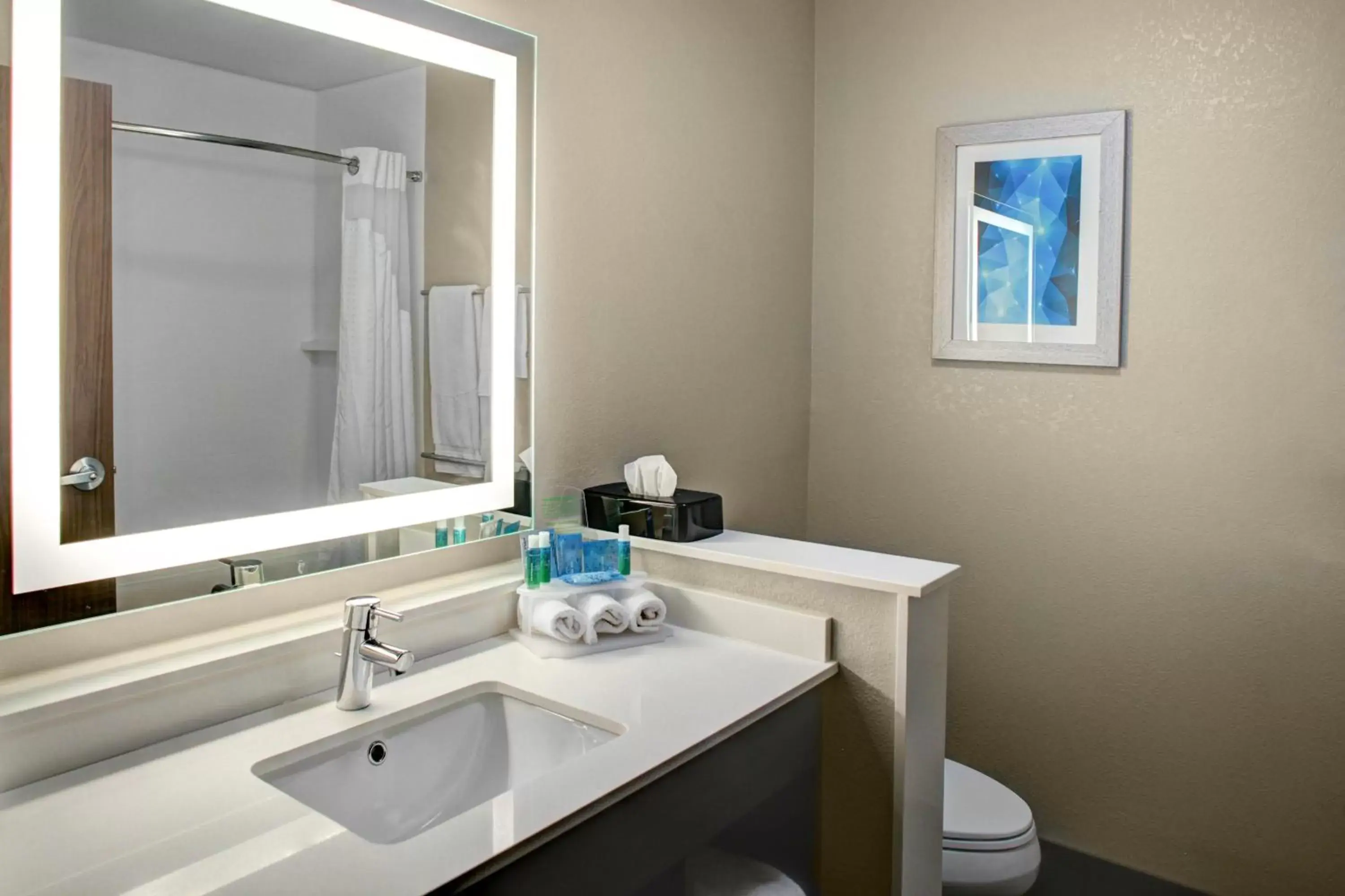 Photo of the whole room, Bathroom in Holiday Inn Express & Suites Coldwater, an IHG Hotel