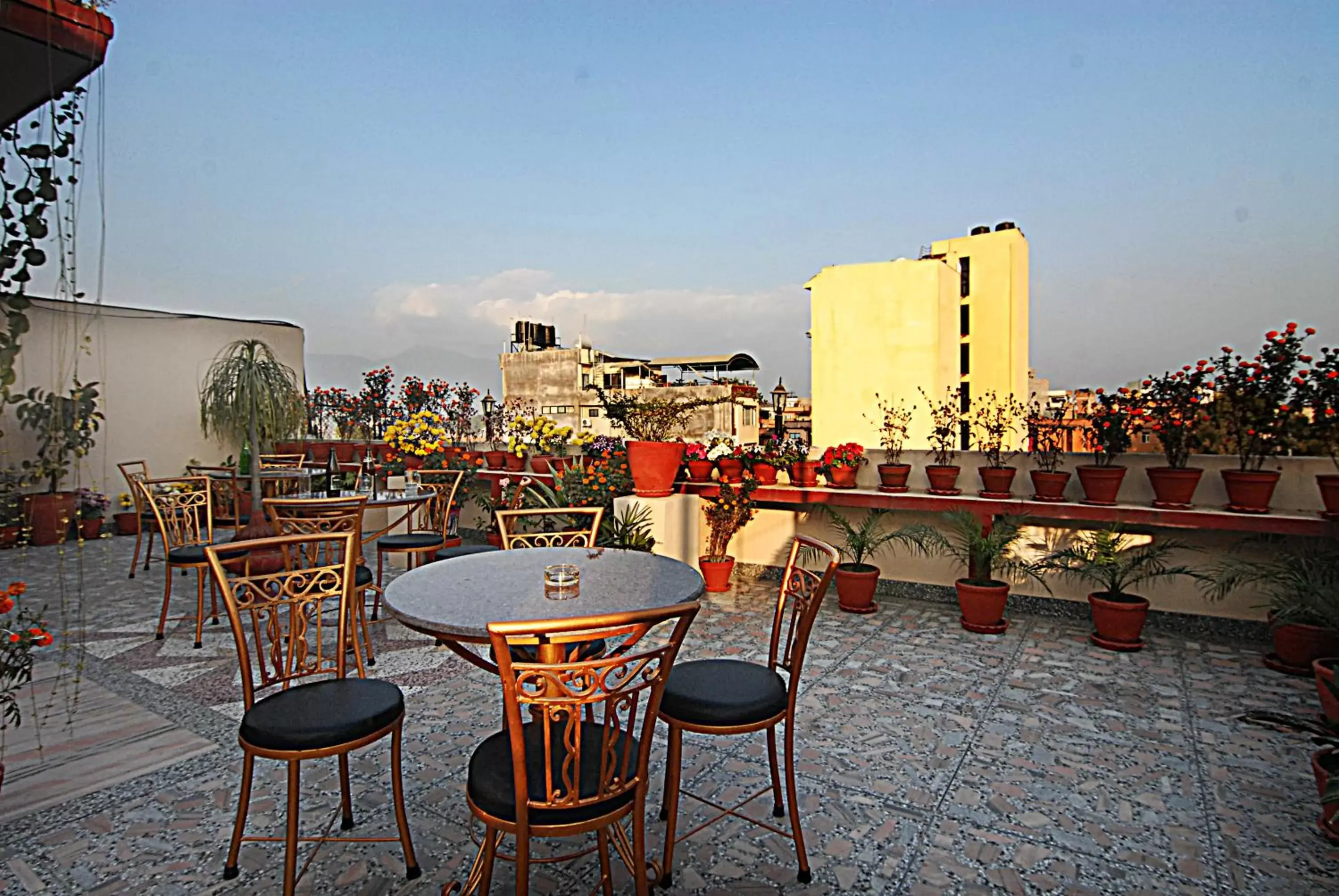 Garden in Kathmandu Grand Hotel