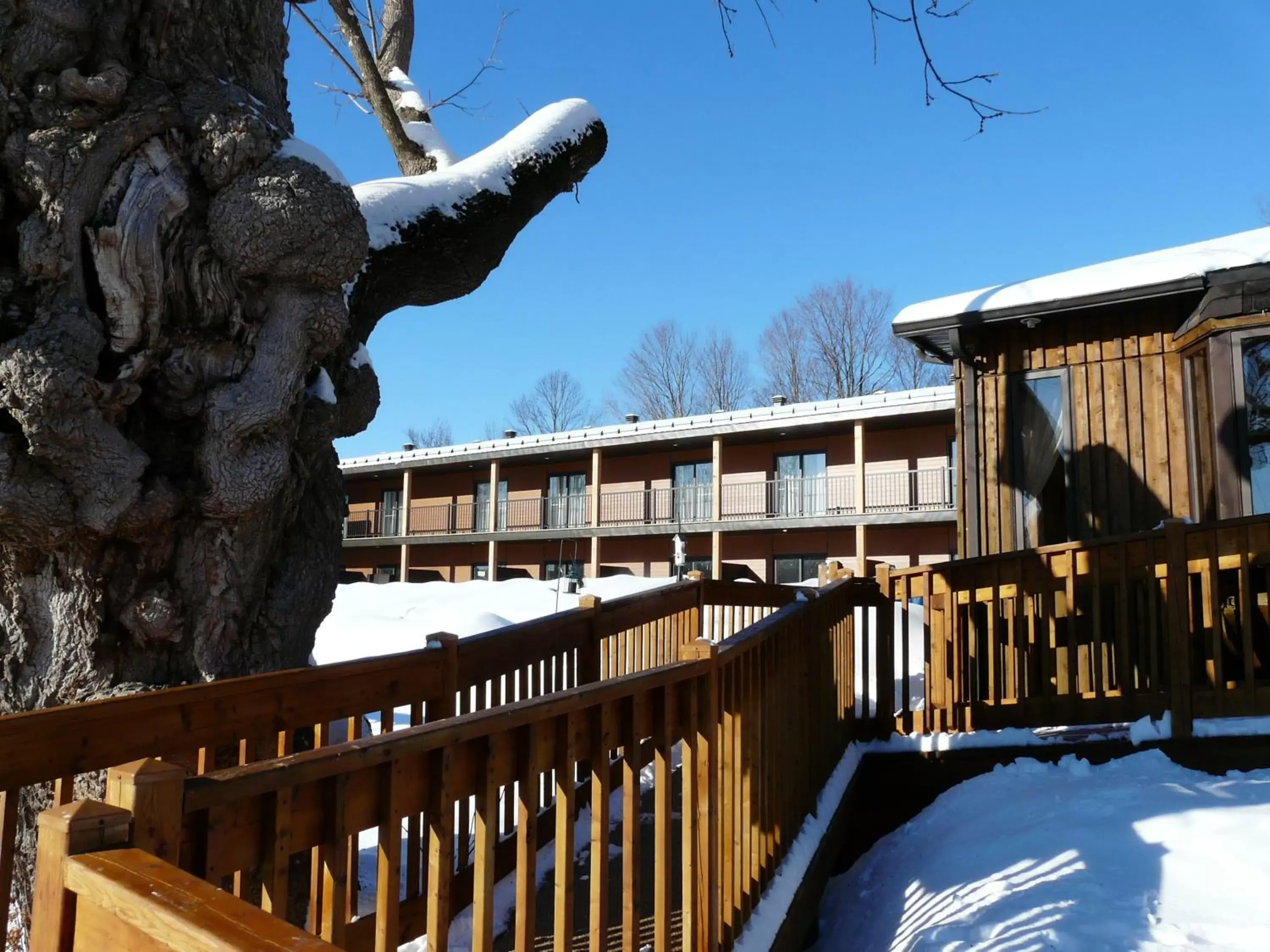 Facade/entrance, Winter in Auberge des Gallant