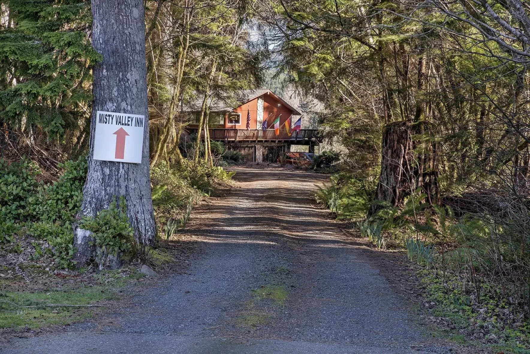 Property building in Misty Valley Inn