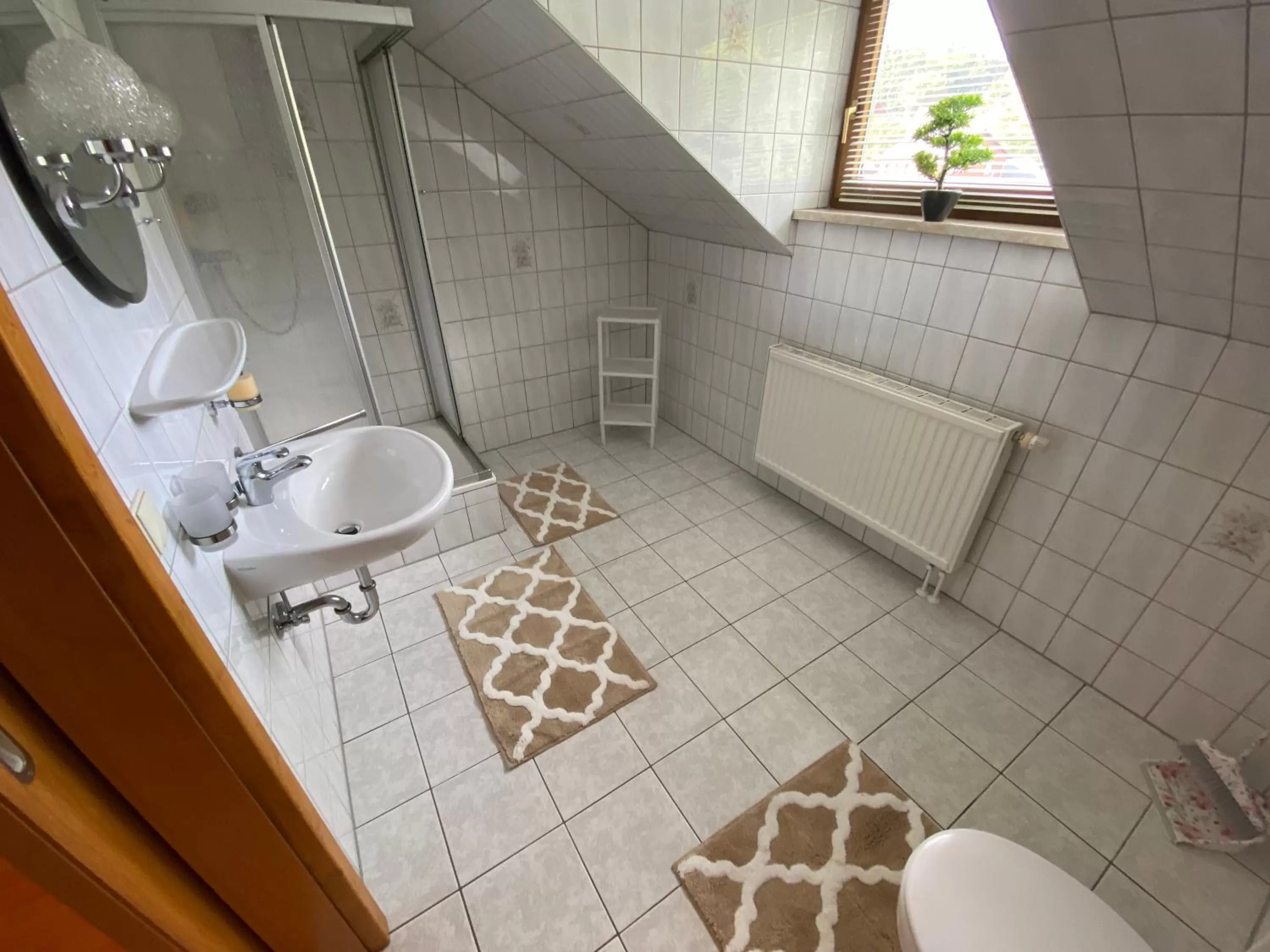 Shower in Hotel Bielatal