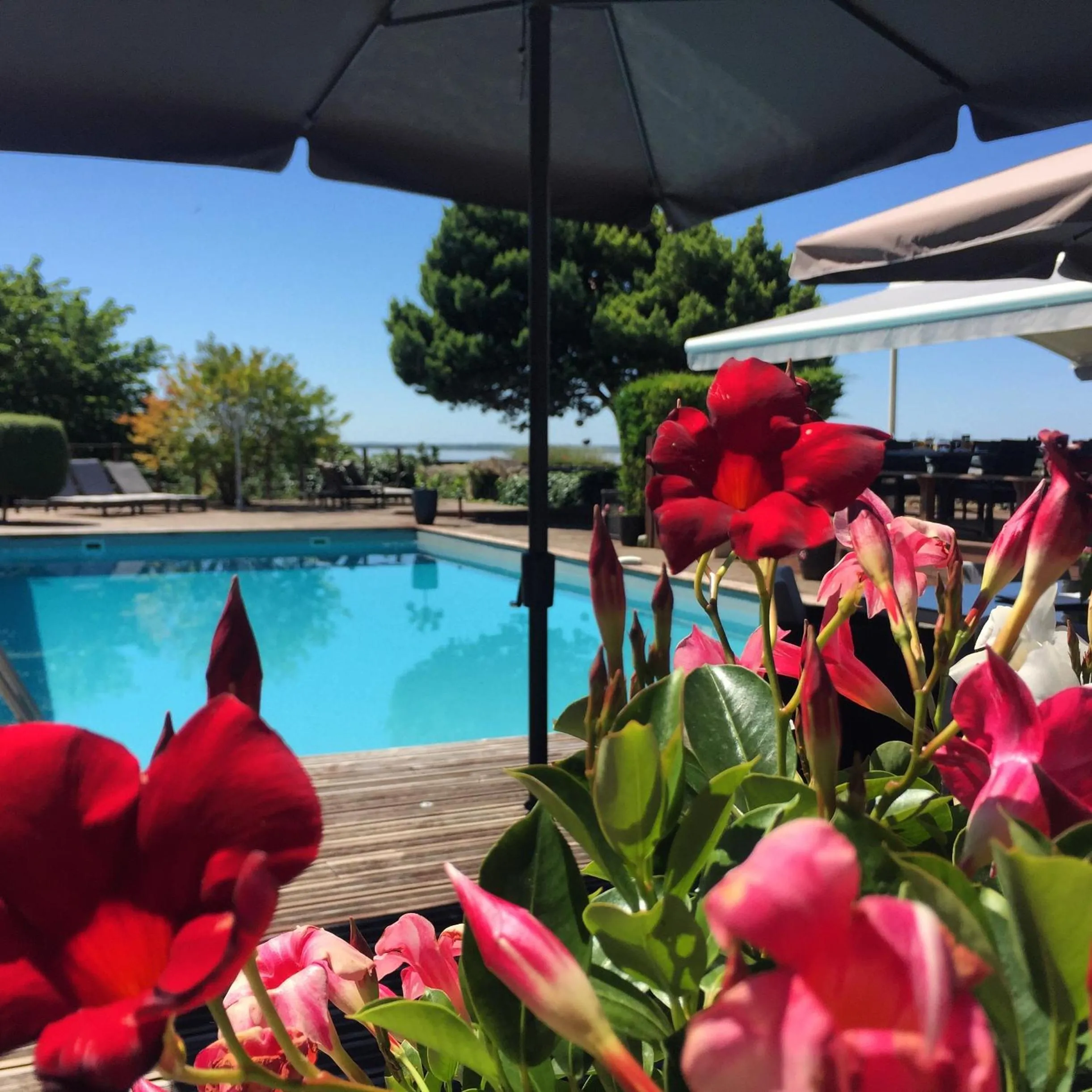 Swimming pool in Logis Hôtel Restaurant La Citadelle