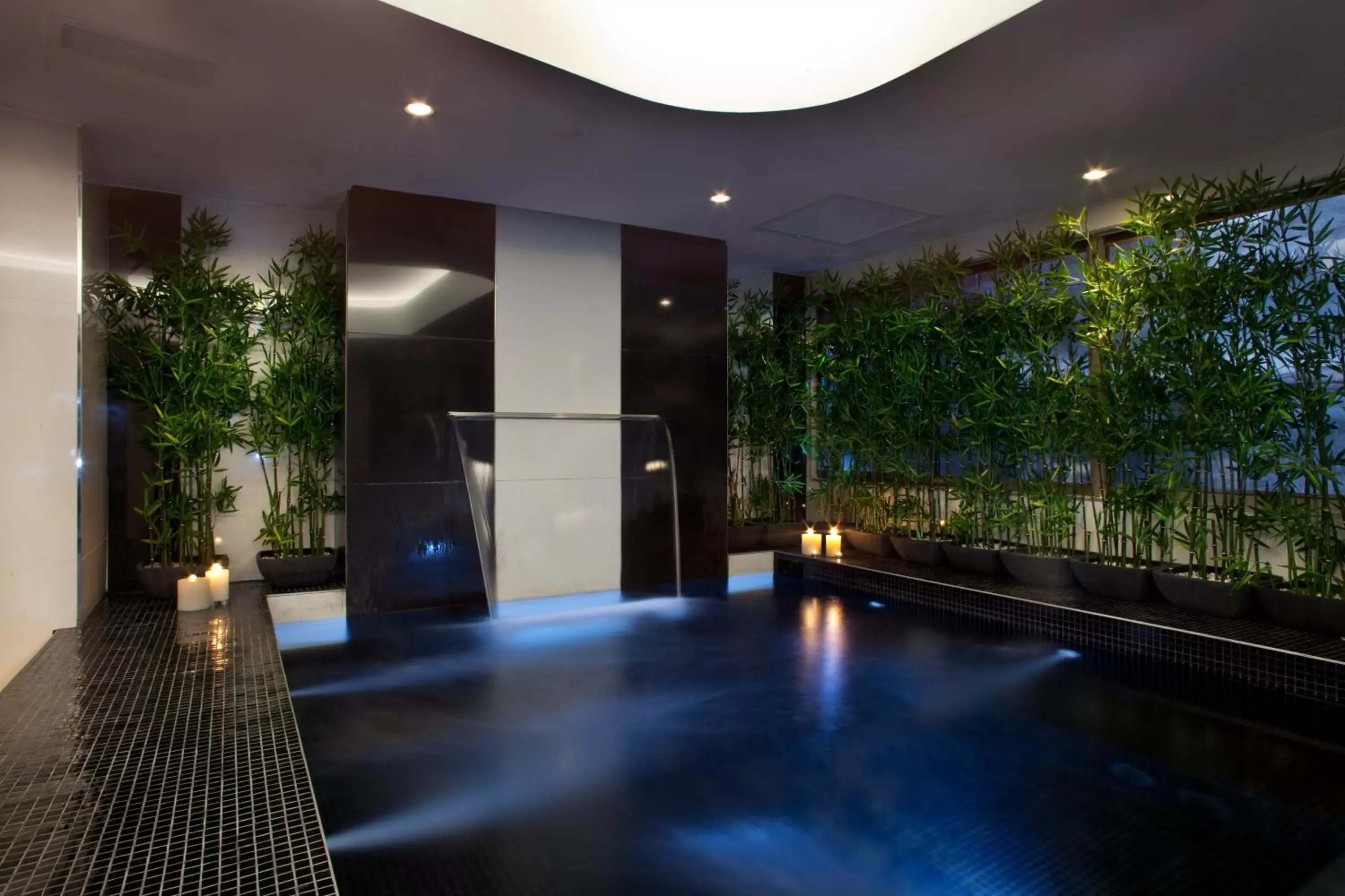 Spa and wellness centre/facilities, Swimming Pool in The Maslow Hotel, Sandton