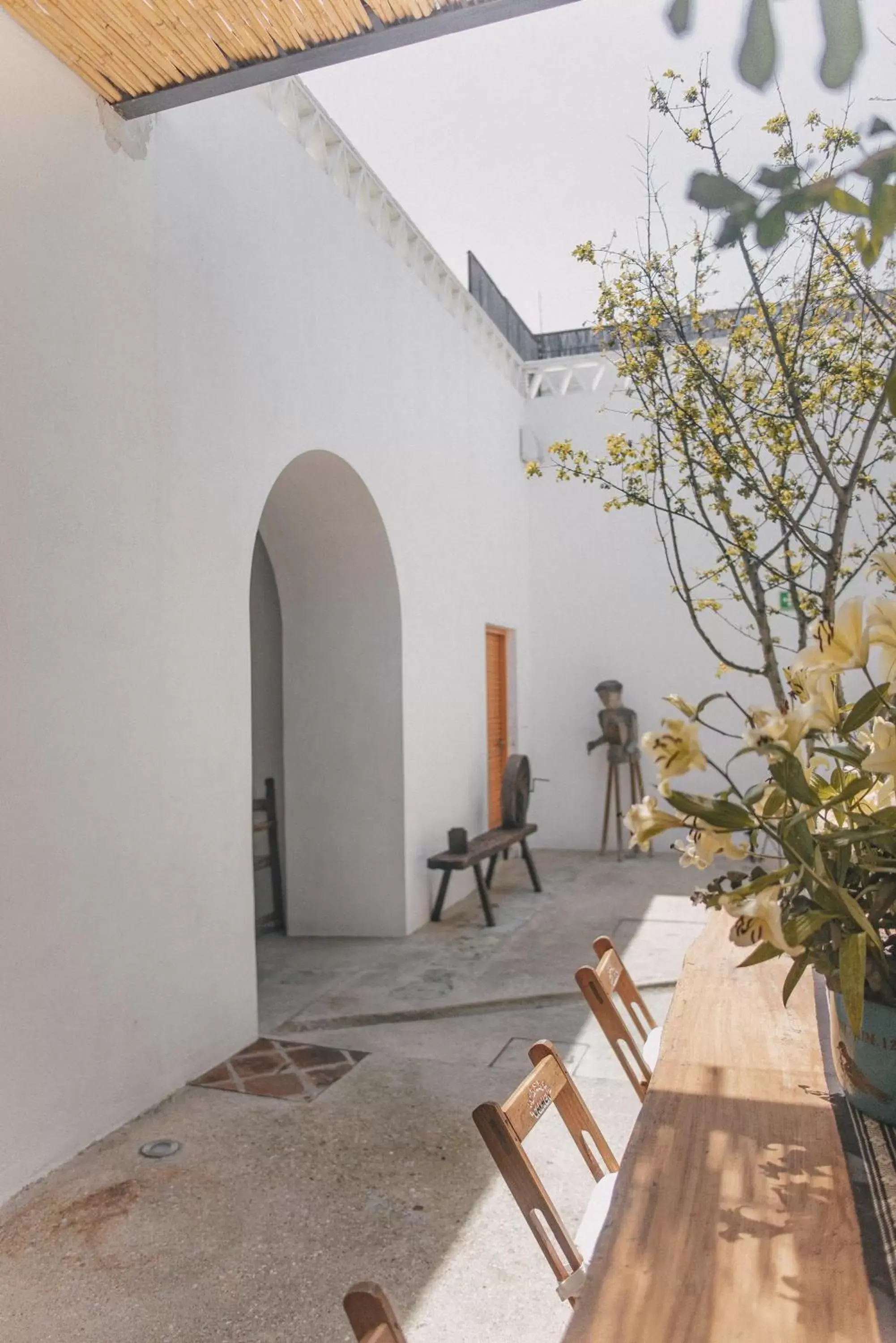 Patio in Casa Carmen Morelos