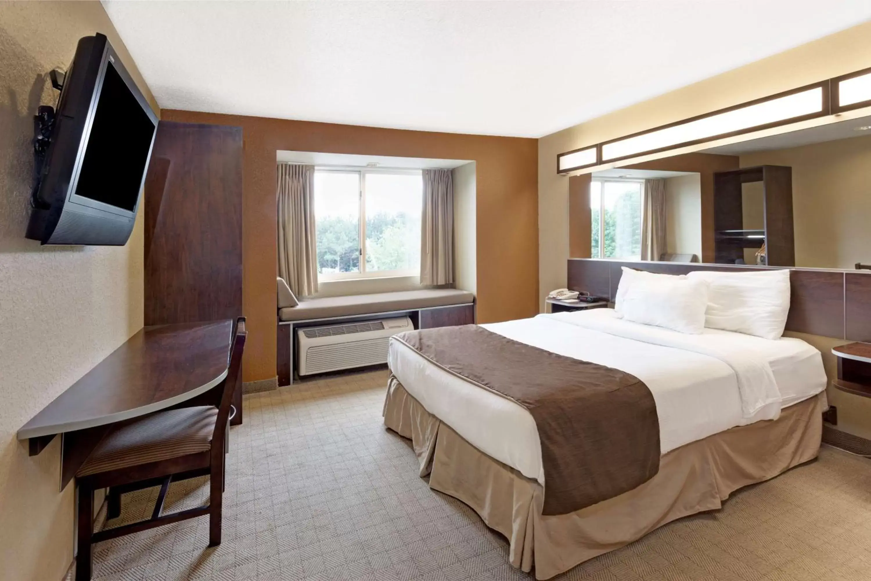Queen Suite - Mobility Accessible/Non-Smoking in Microtel Inn & Suites by Wyndham Woodstock/Atlanta North